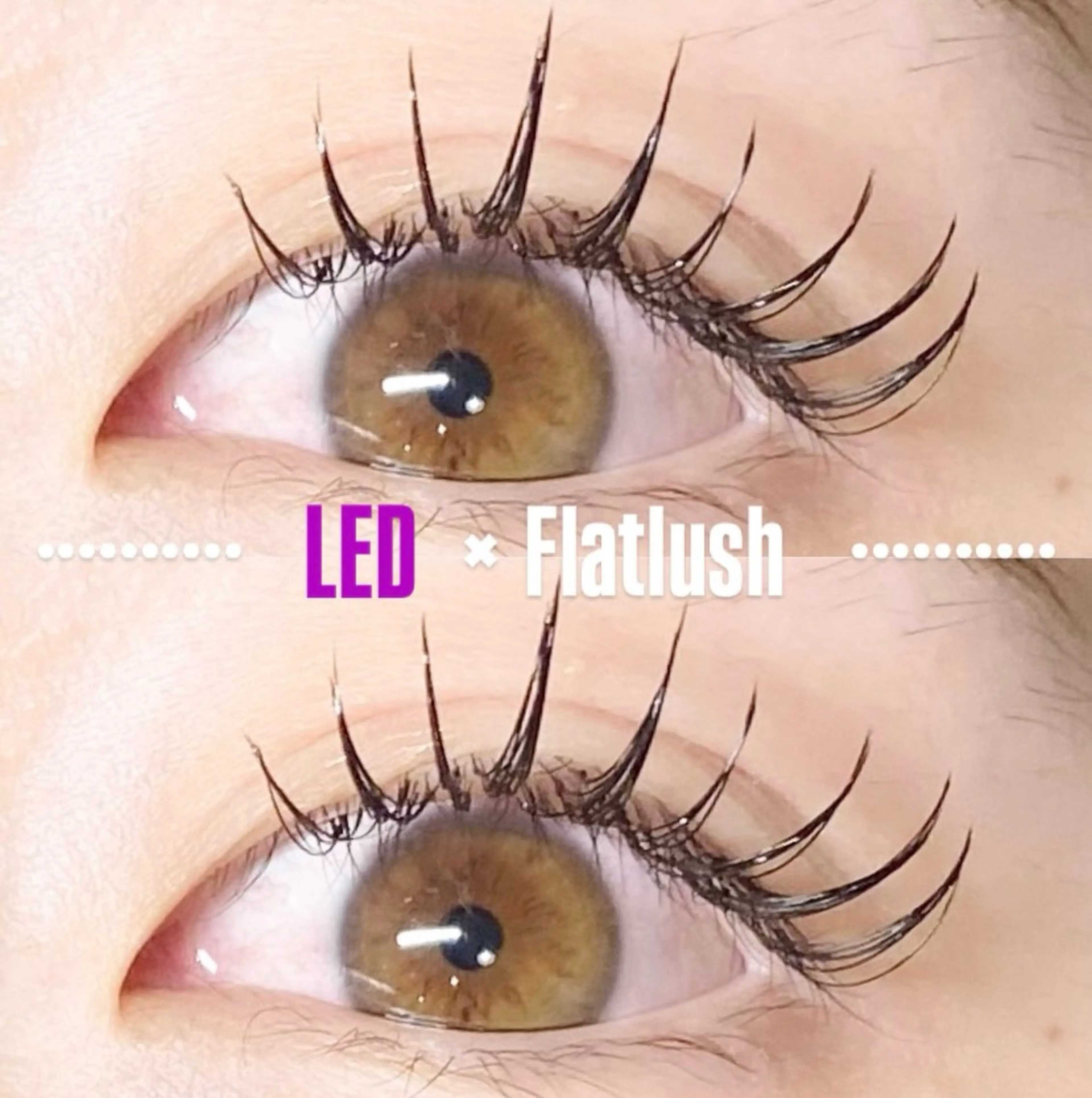 -`リピーター価格💘´-‧✧̣̥̇‧LEDフラットラッシュ  (100本)‧✧̣̥̇‧の写真