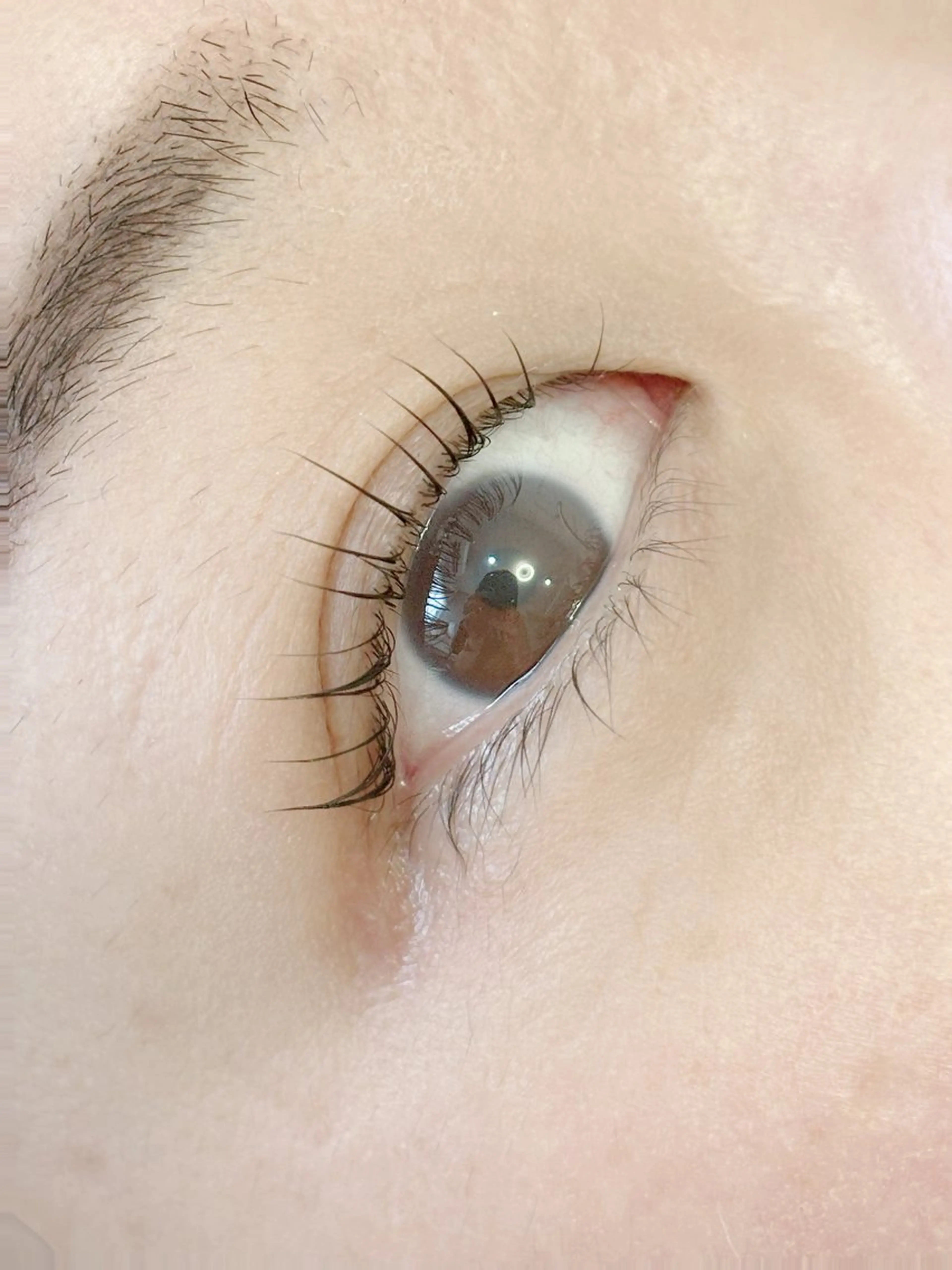 まつ毛パーマ上下🦄の写真