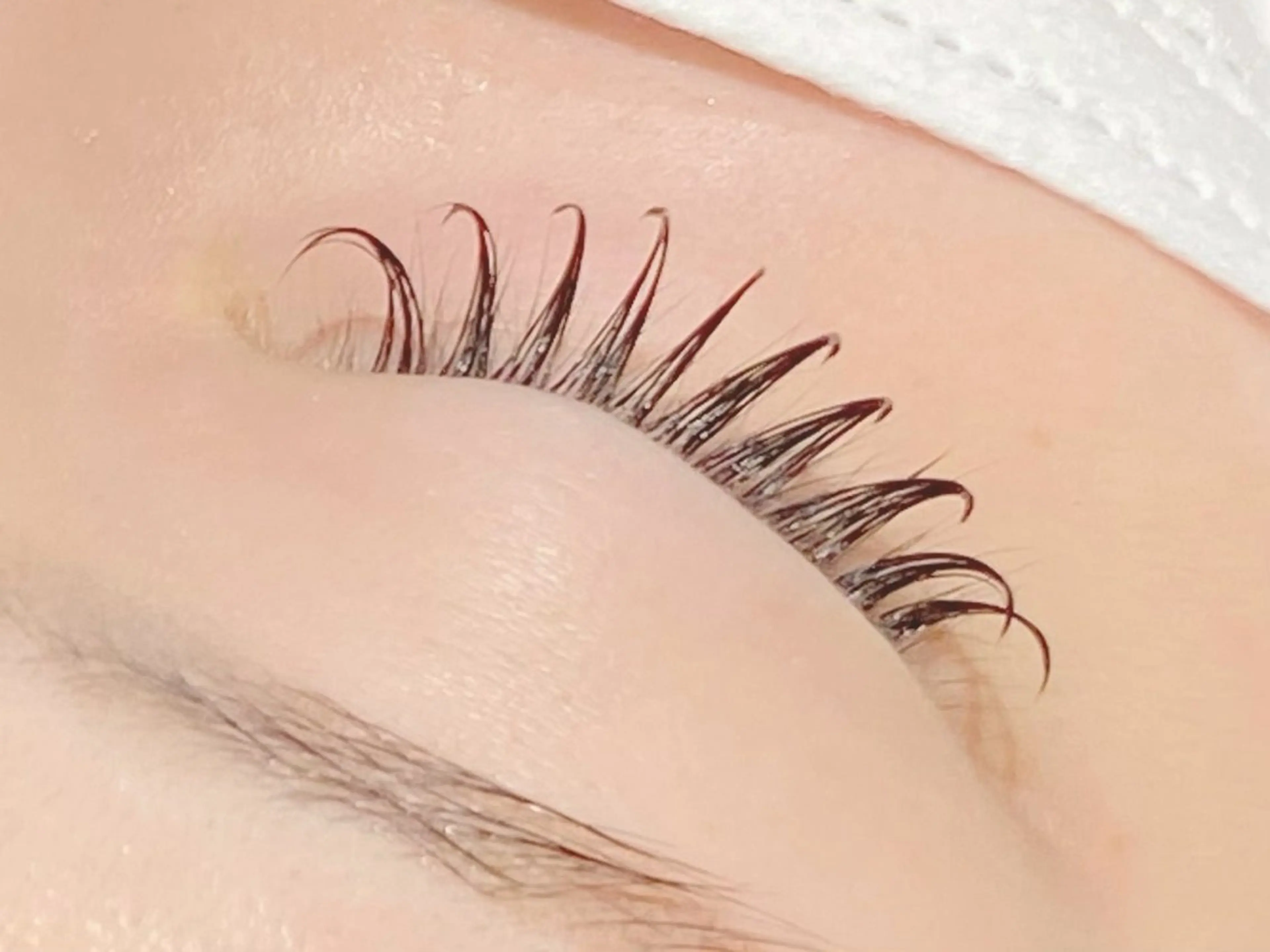 フラットラッシュ120本の写真