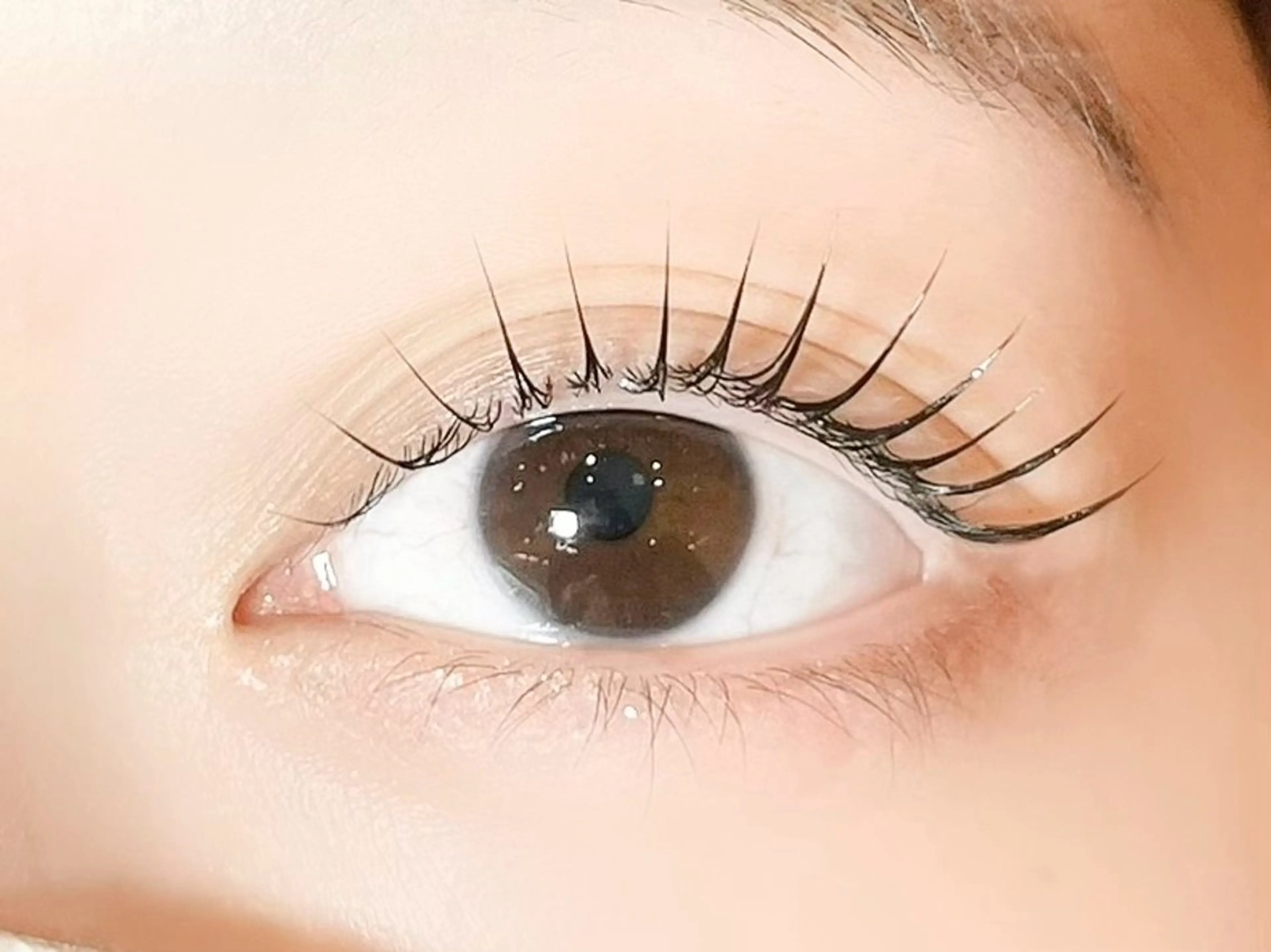 マツエク・マツパ 束感まつ毛 韓国風マツエク sola: neolive熊田のマツエク・マツパデザイン