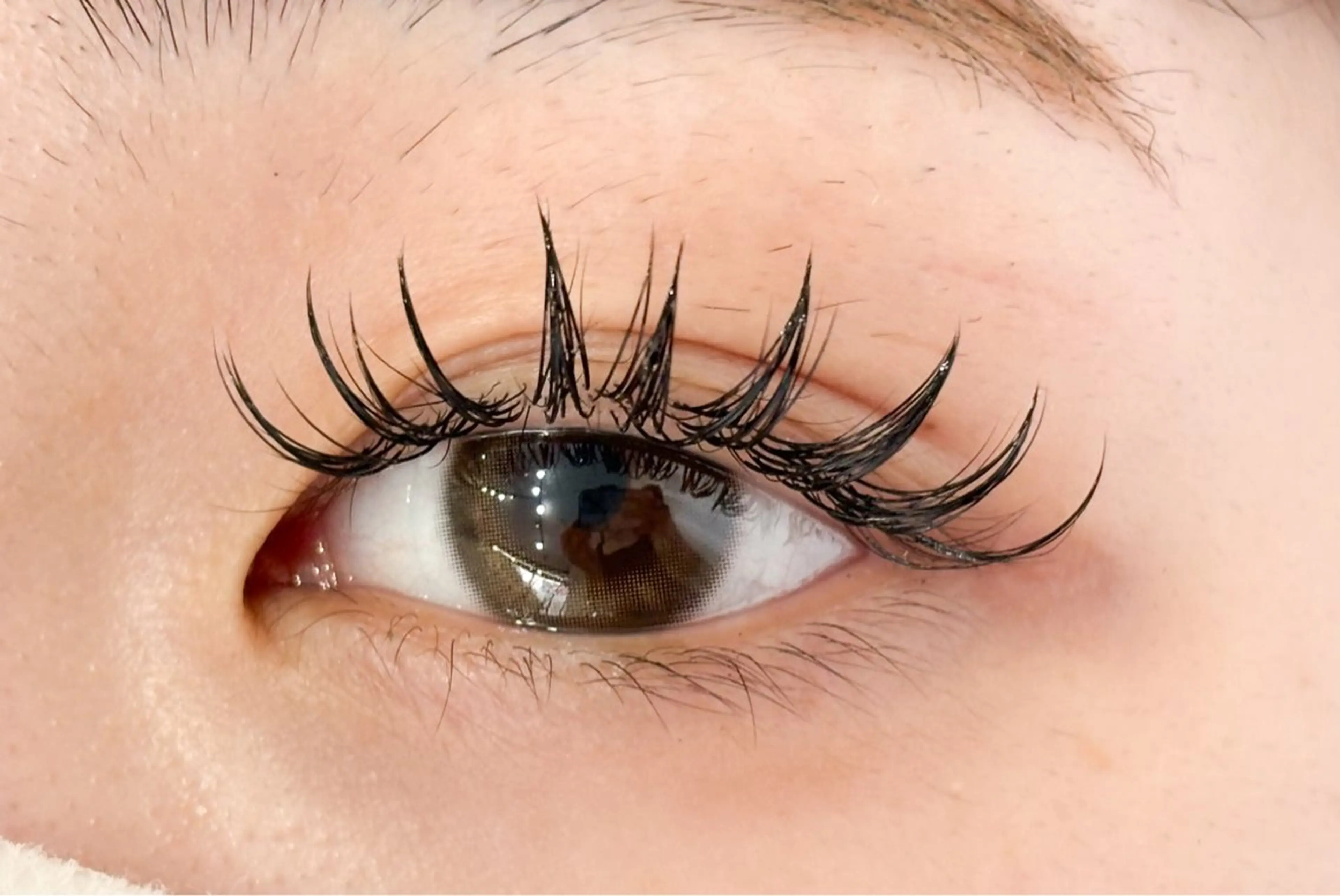 マツエク・マツパ マツエク Aprilush🦋 Cieloのマツエク・マツパデザイン