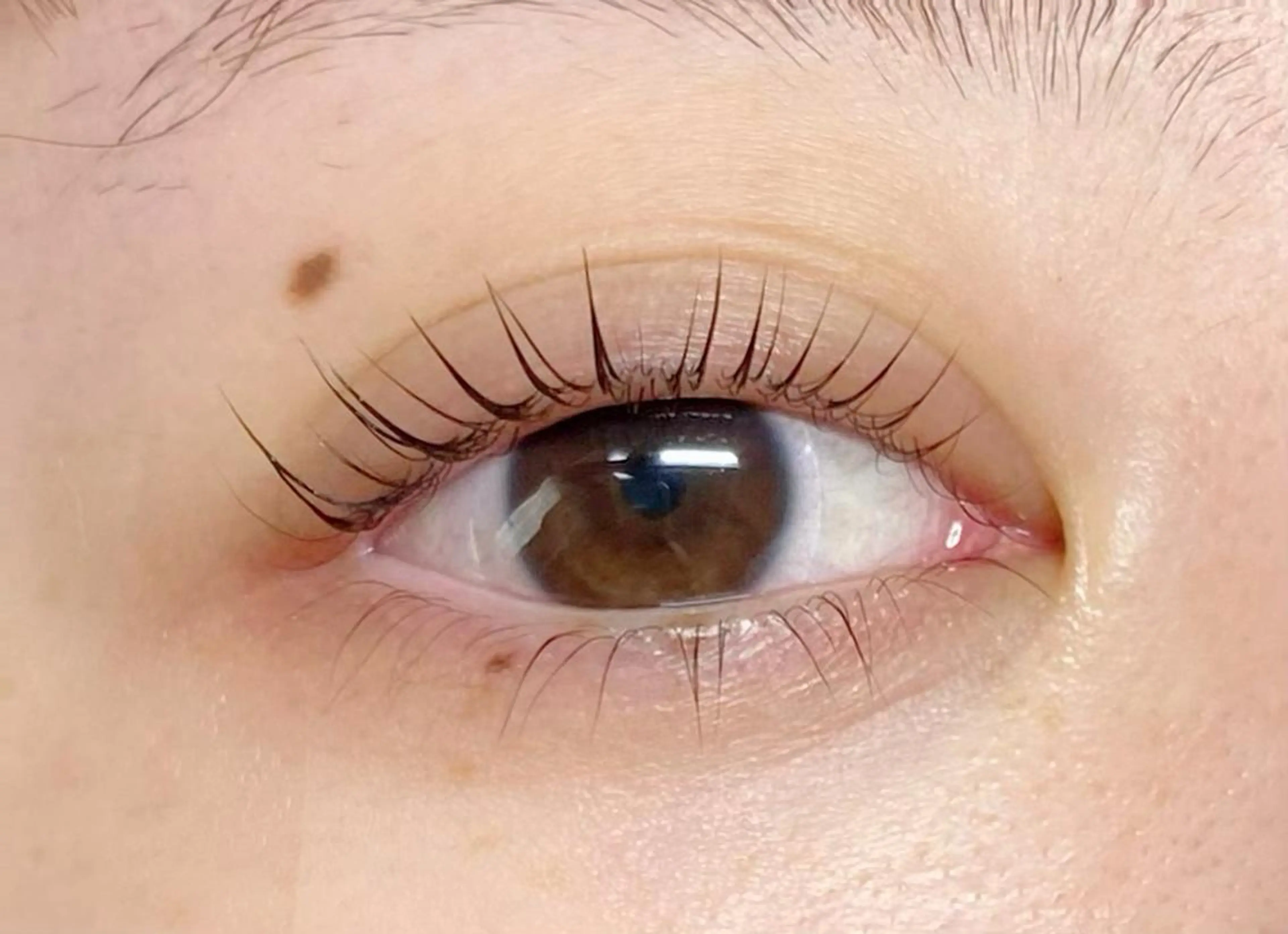 マツエク・マツパ CITRON ⭐︎のマツエク・マツパデザイン