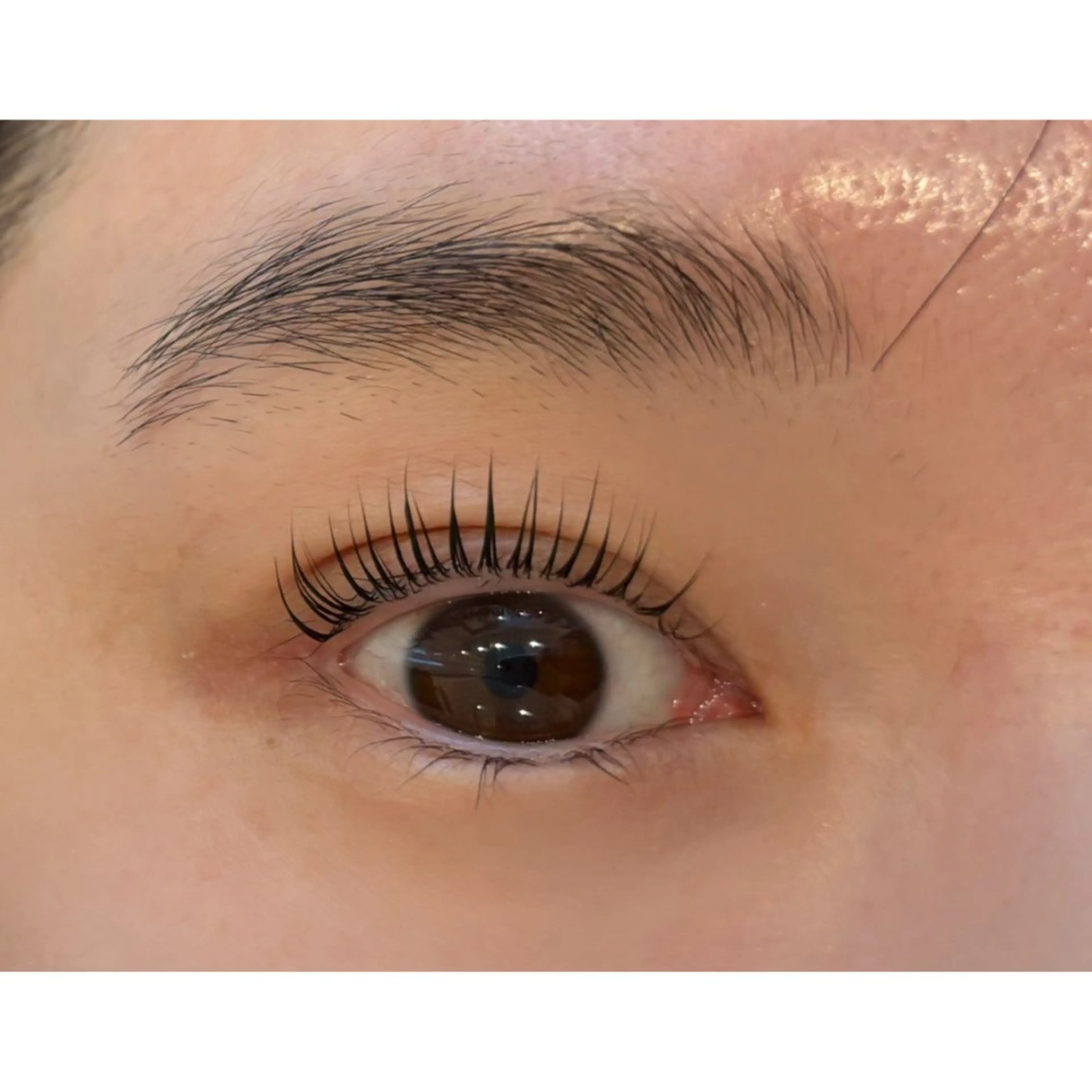 マツエク・マツパ Sakurablow 藤野のマツエク・マツパデザイン