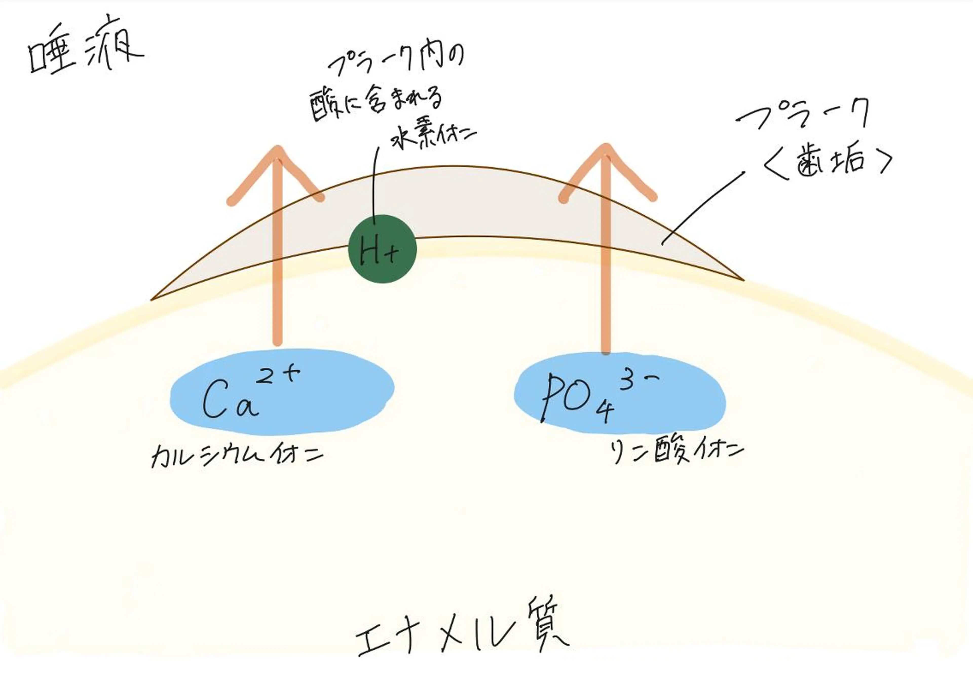 ショート ホワイトニングサロン nico西葛西店のその他イメージ