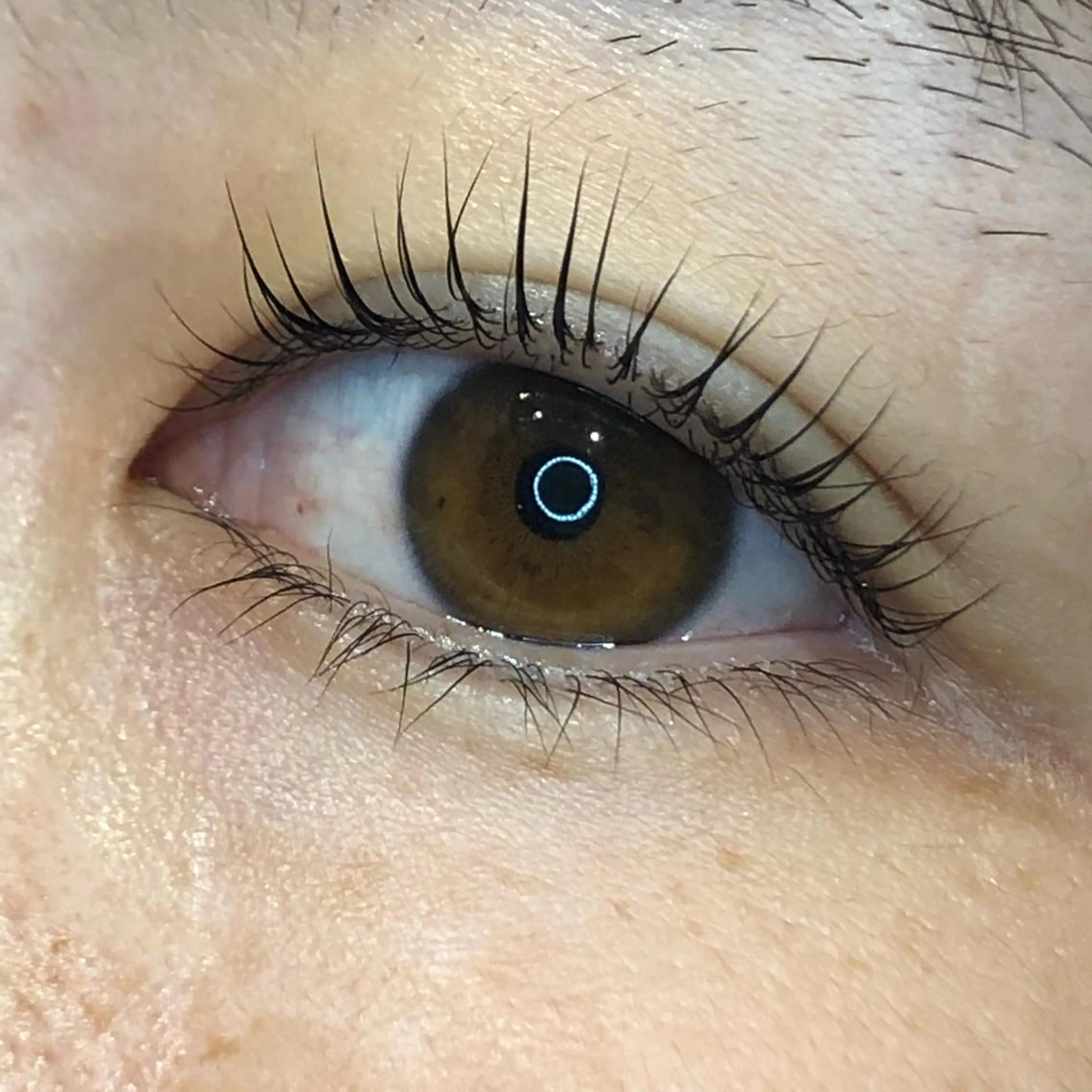 マツエク・マツパ パリジェンヌラッシュリフト マツパ 🌷 Saya.のマツエク・マツパデザイン