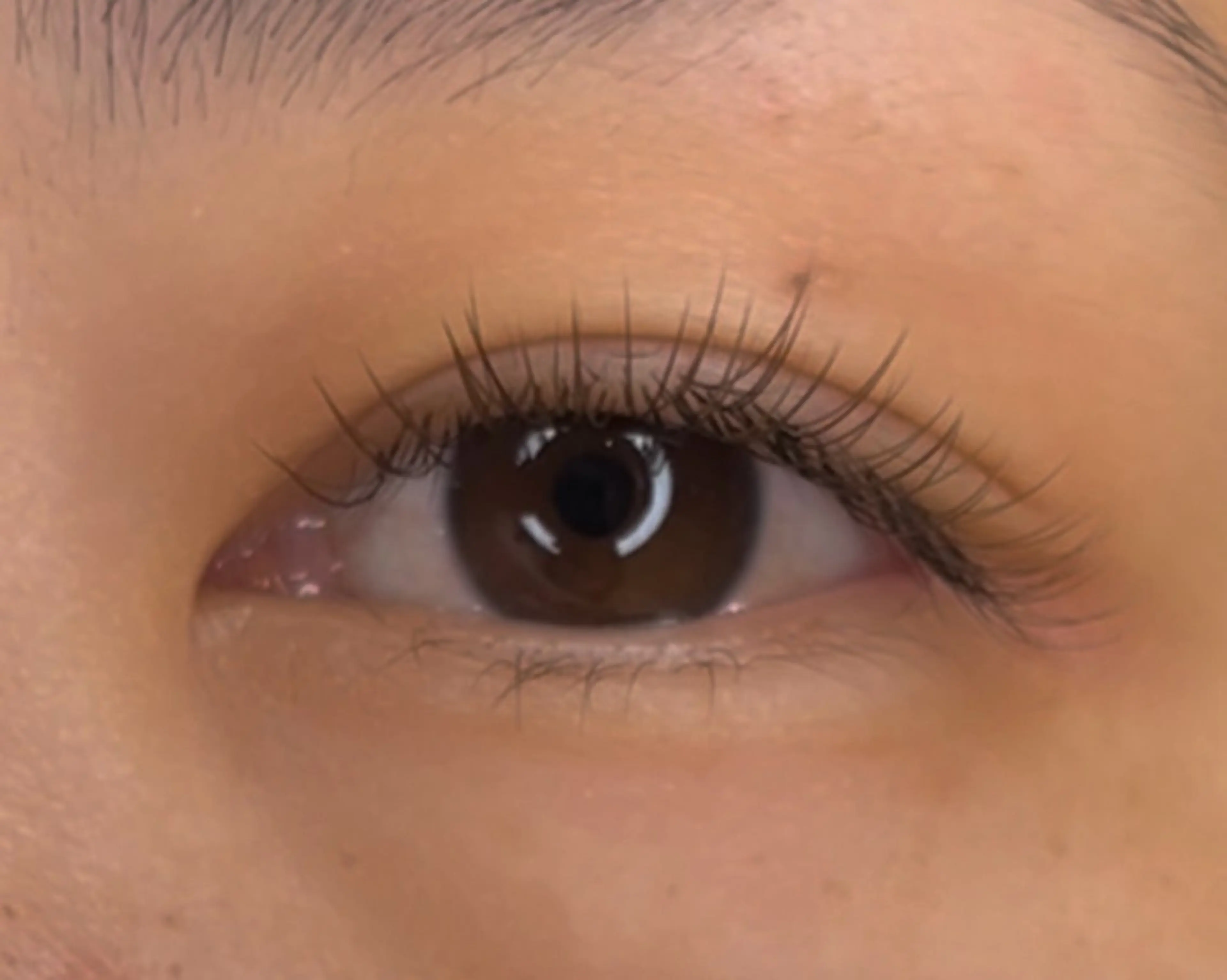 マツエク・マツパ Fameu+ HIMEKAのマツエク・マツパデザイン