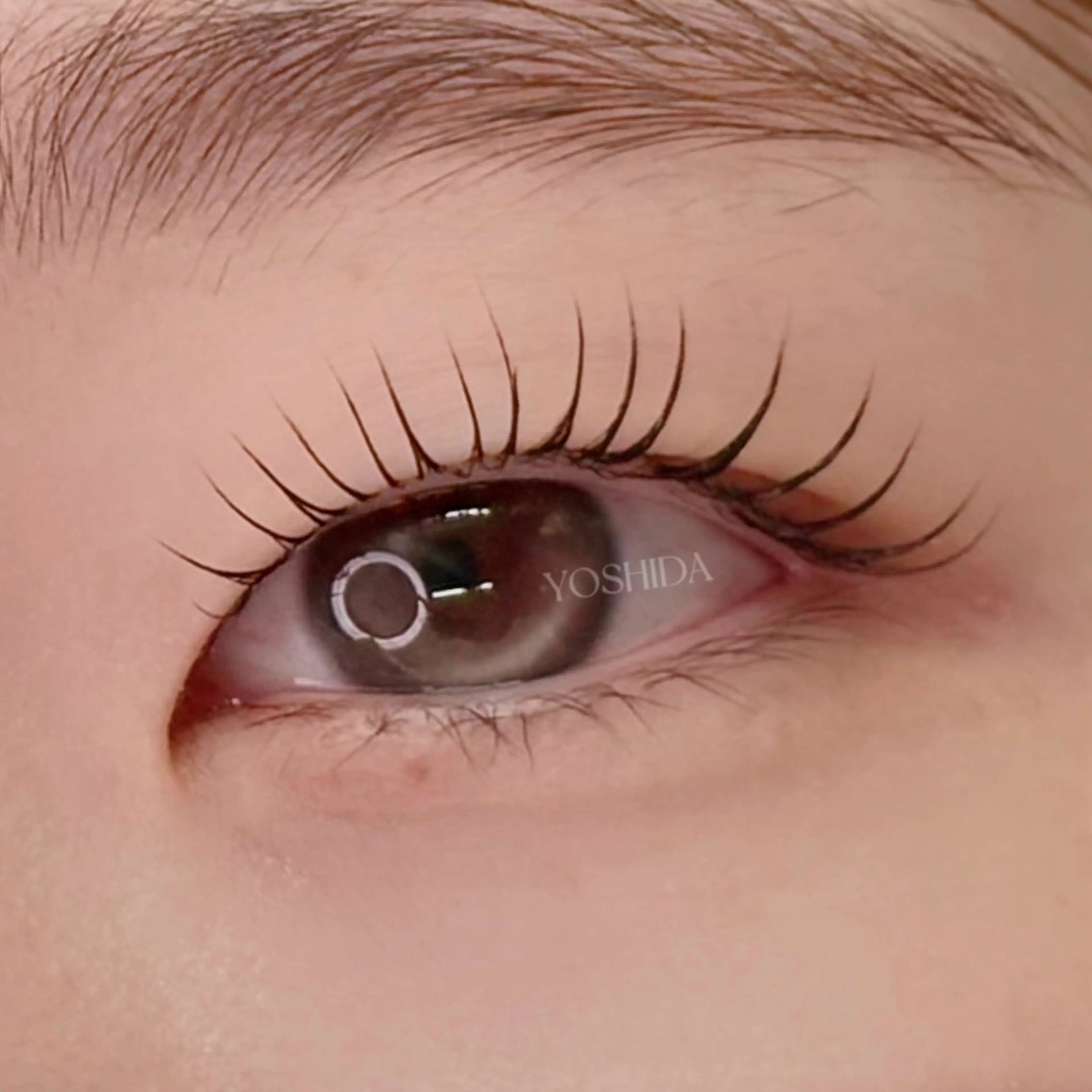 マツエク・マツパ 【一重┊︎奥二重】 YOSHIDA🌙のマツエク・マツパデザイン