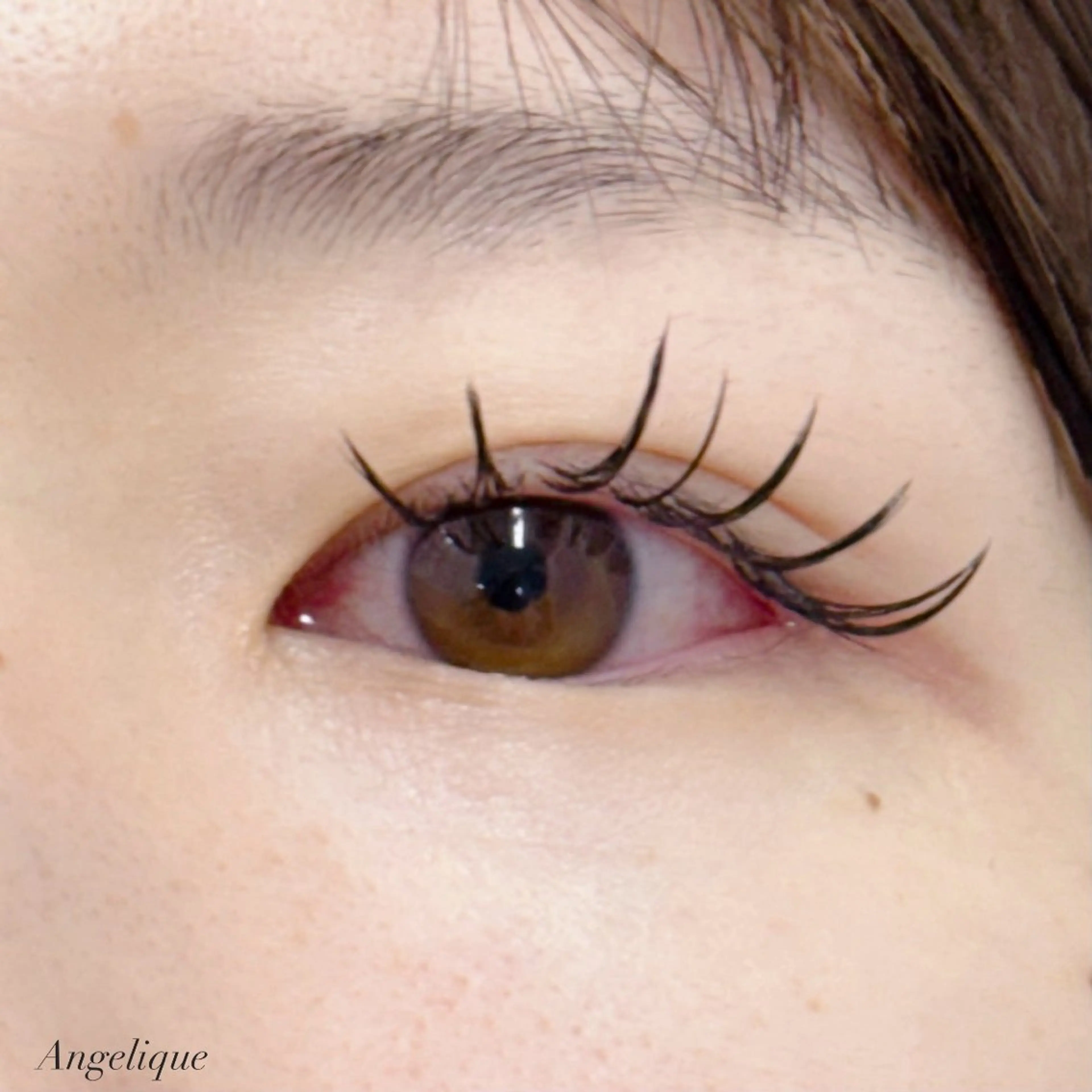 🤎【バインドロック100束】練習モデル🤎の写真