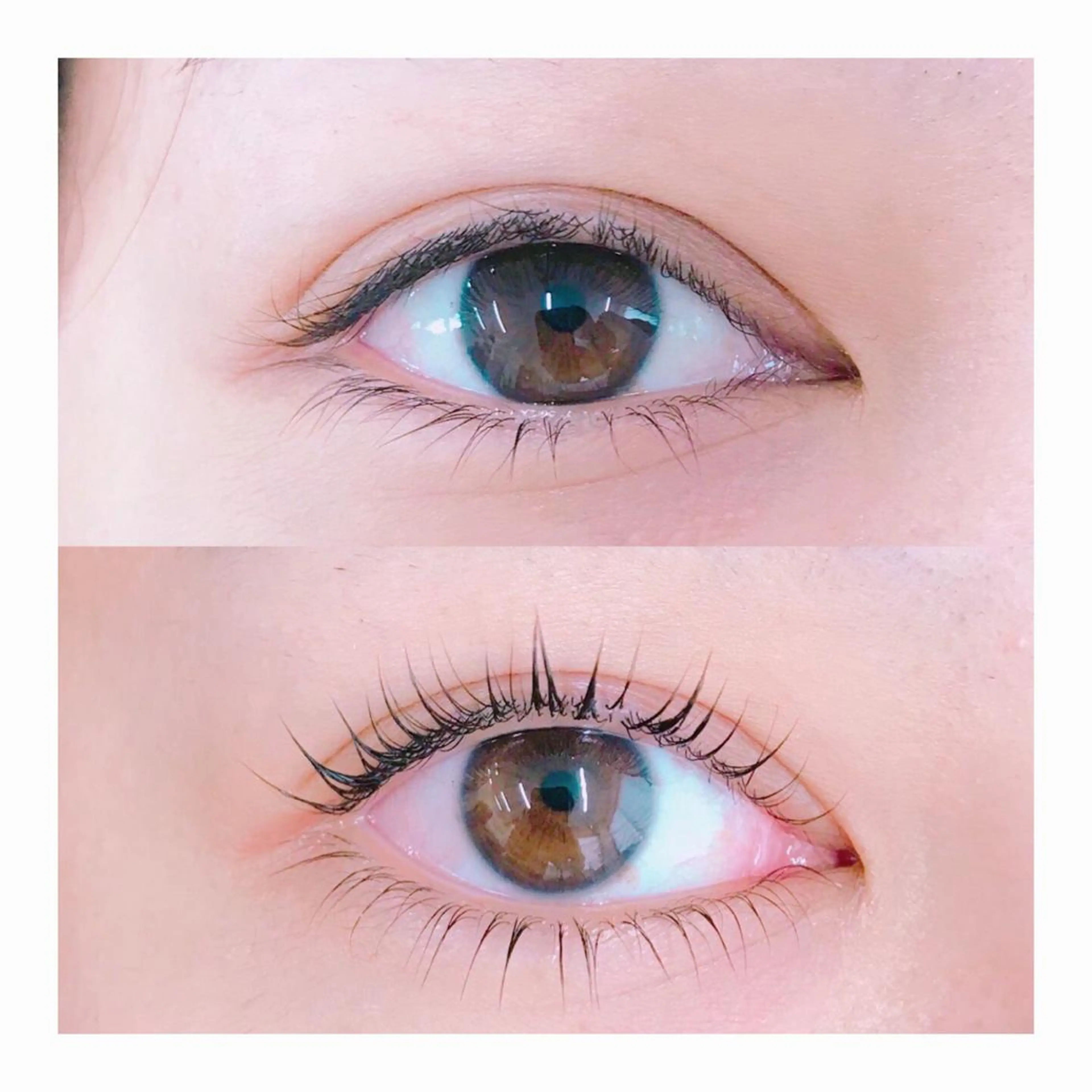 💟まつ毛パーマ💟まつ毛カール💟高保湿トリートメント仕上げ✨【上下】【阿佐ヶ谷.高円寺.中野】の写真