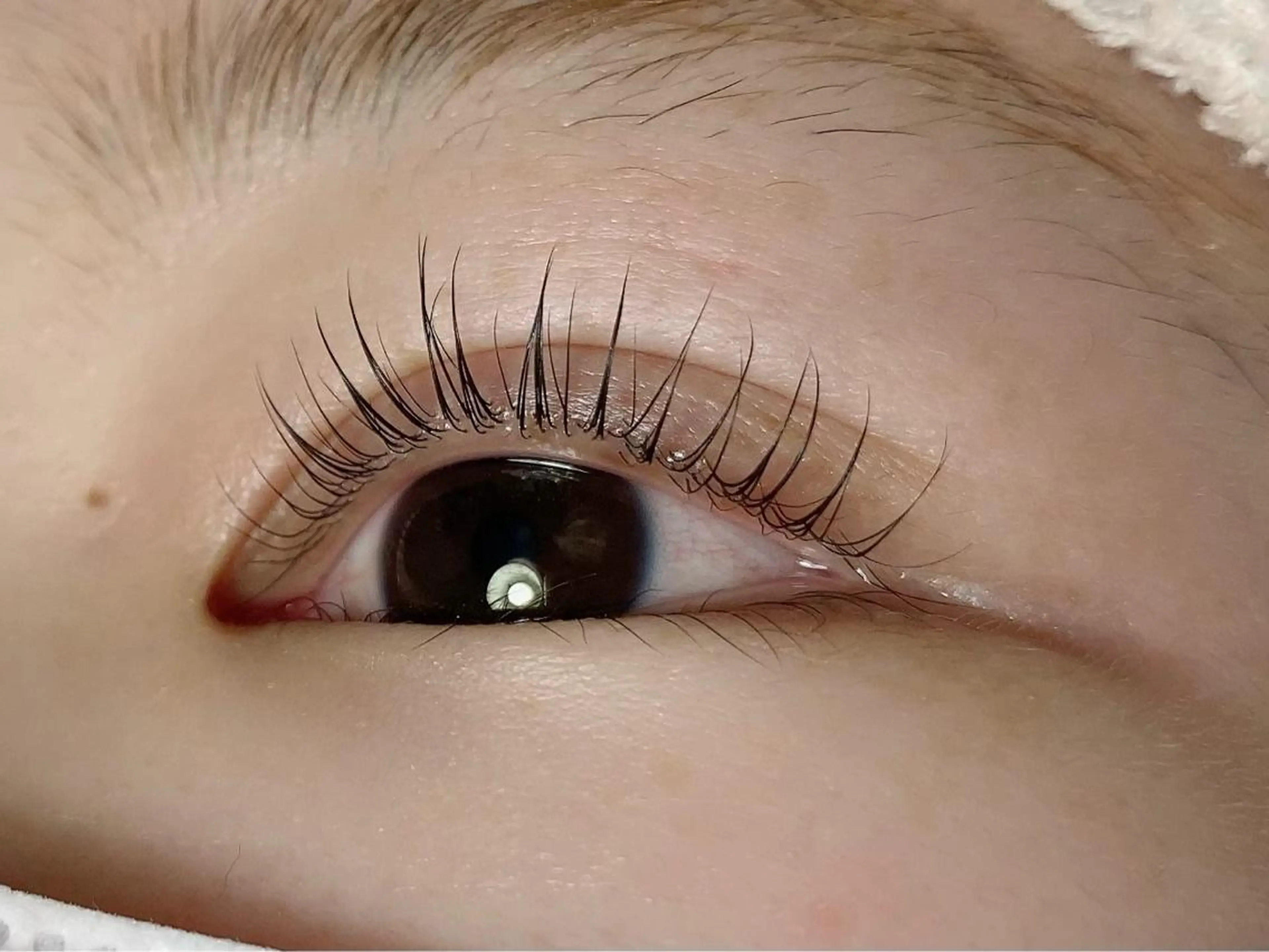 マツエク・マツパ 一重×まつ毛パーマ 藤田 愛瑞奈のマツエク・マツパデザイン