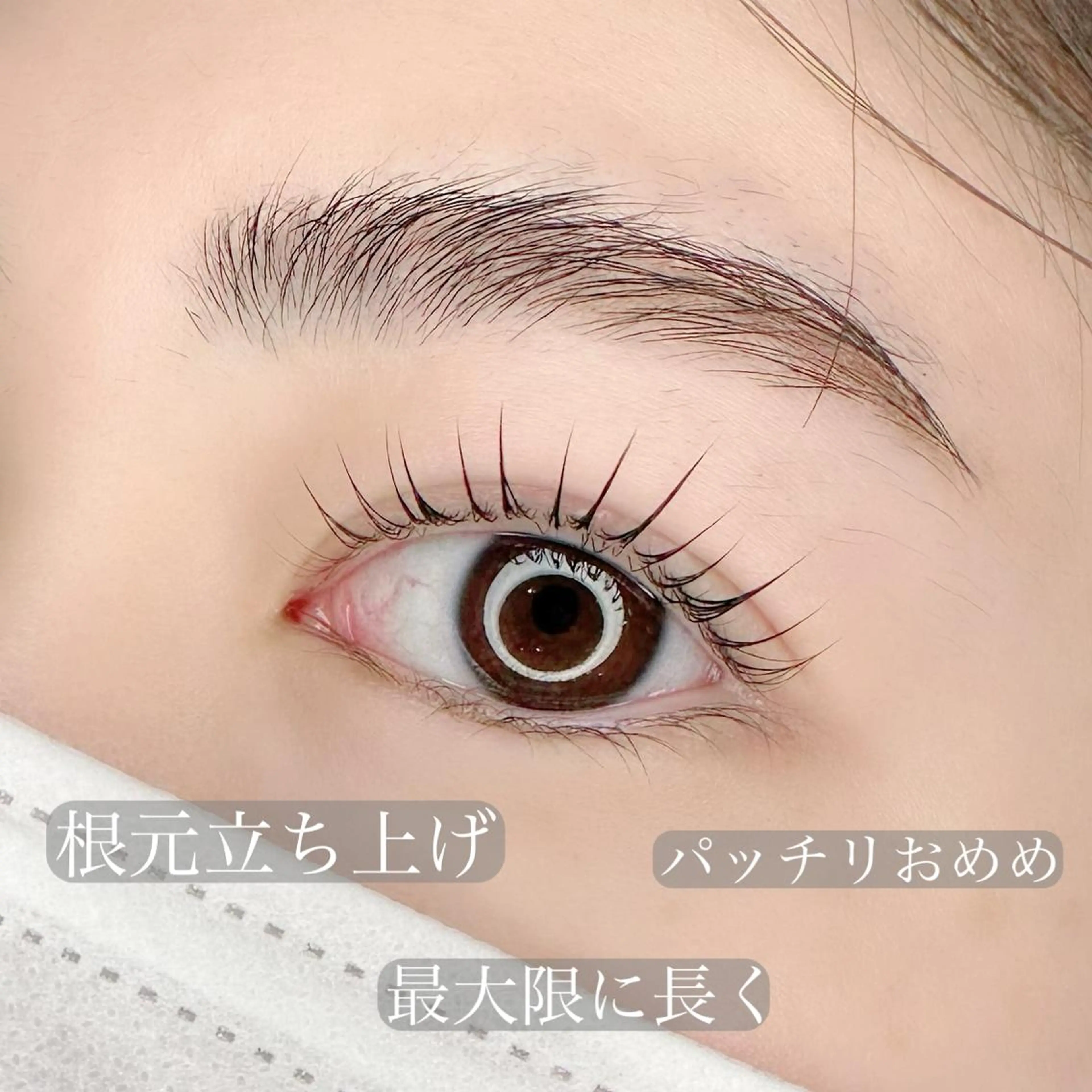 マツエク・マツパ アイブロウ パリジェンヌラッシュリフト Laurel eye ローレルのマツエク・マツパデザイン