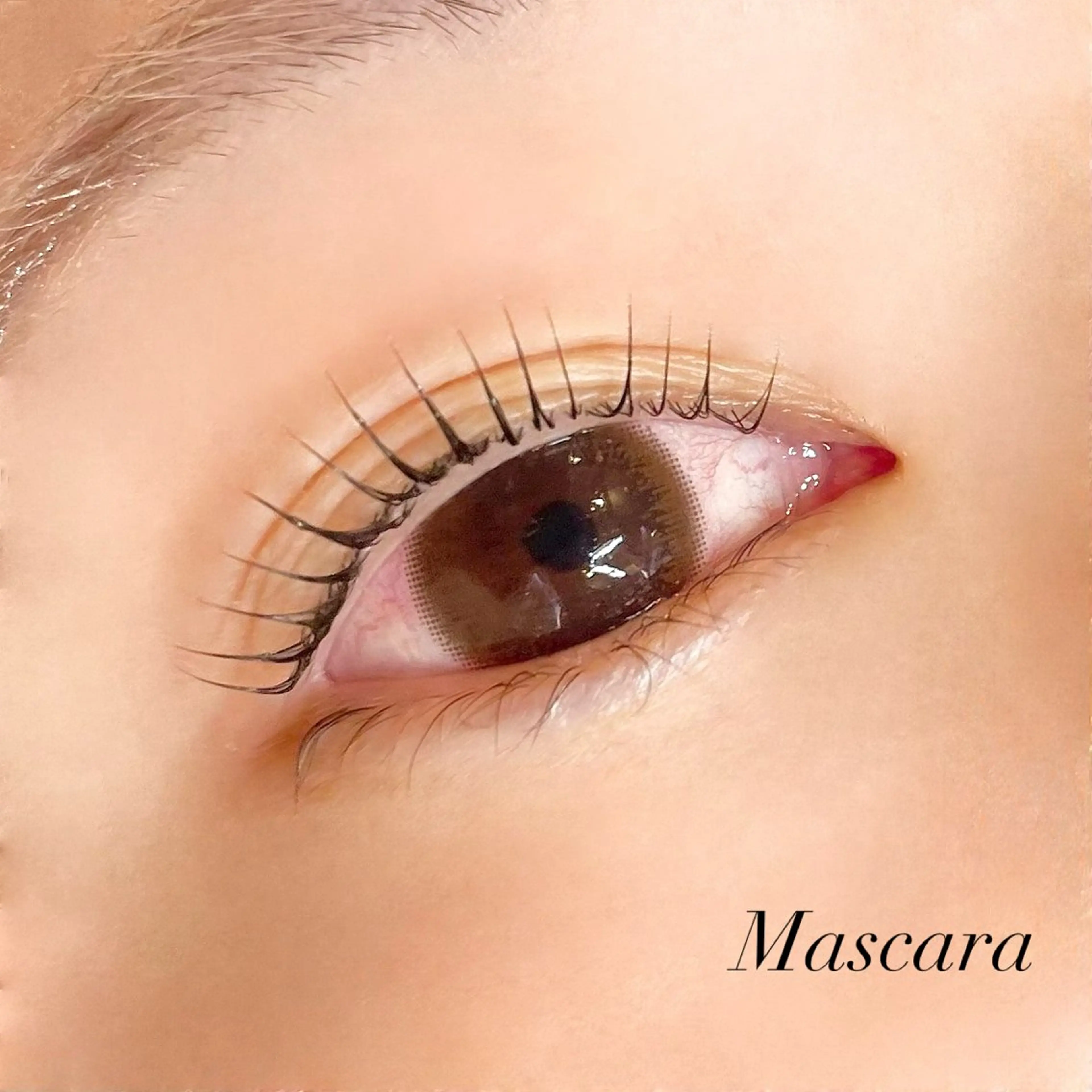 マツエク・マツパ マツパ Pupu lash ‪ ꪔ̤のマツエク・マツパデザイン