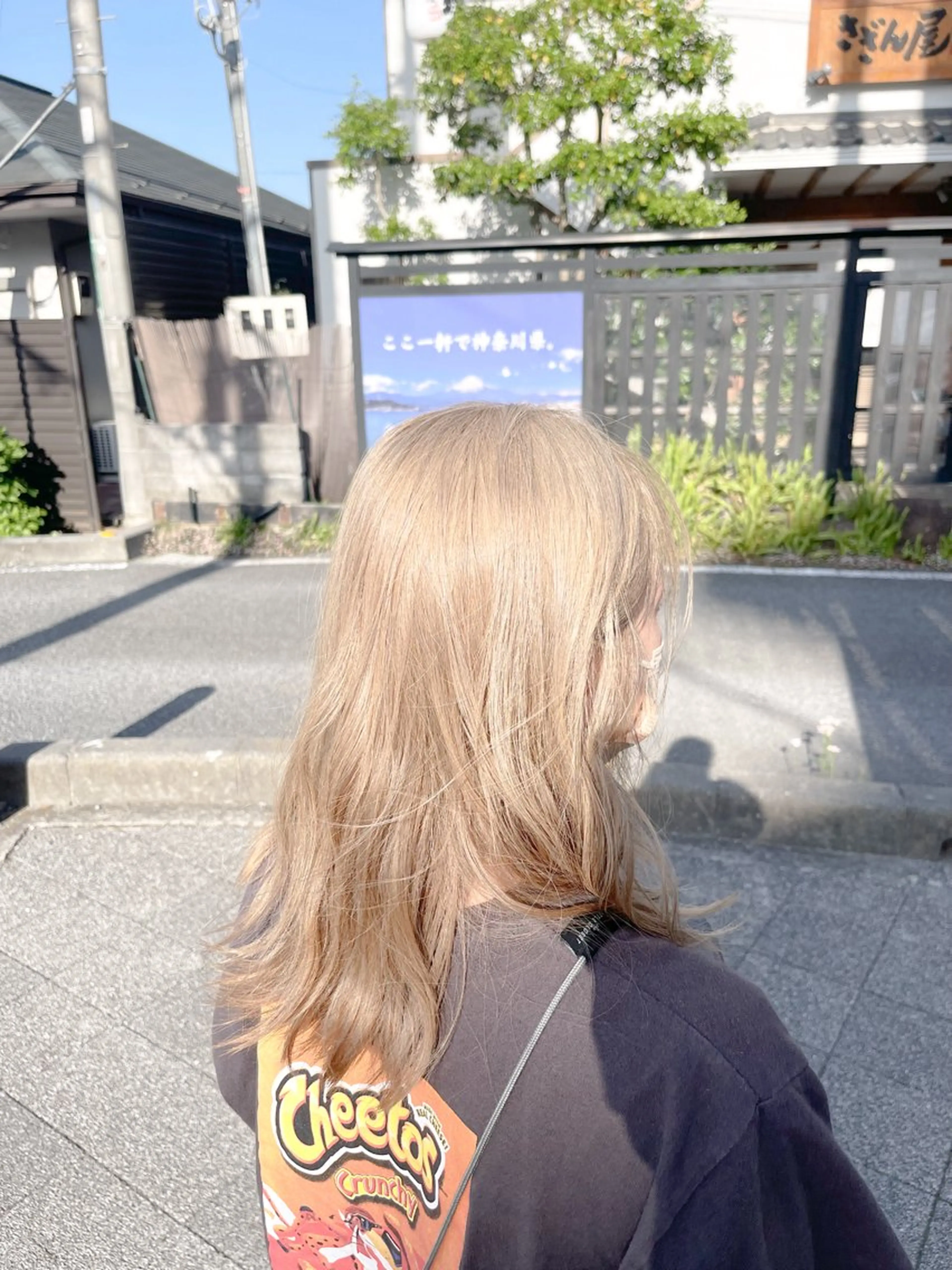 ロング カラー ベージュカラー ブリーチ ダブルカラー ハイトーンカラー ミルクティーベージュ ⭐︎白髪のお悩み 解決します⭕️のヘアスタイル