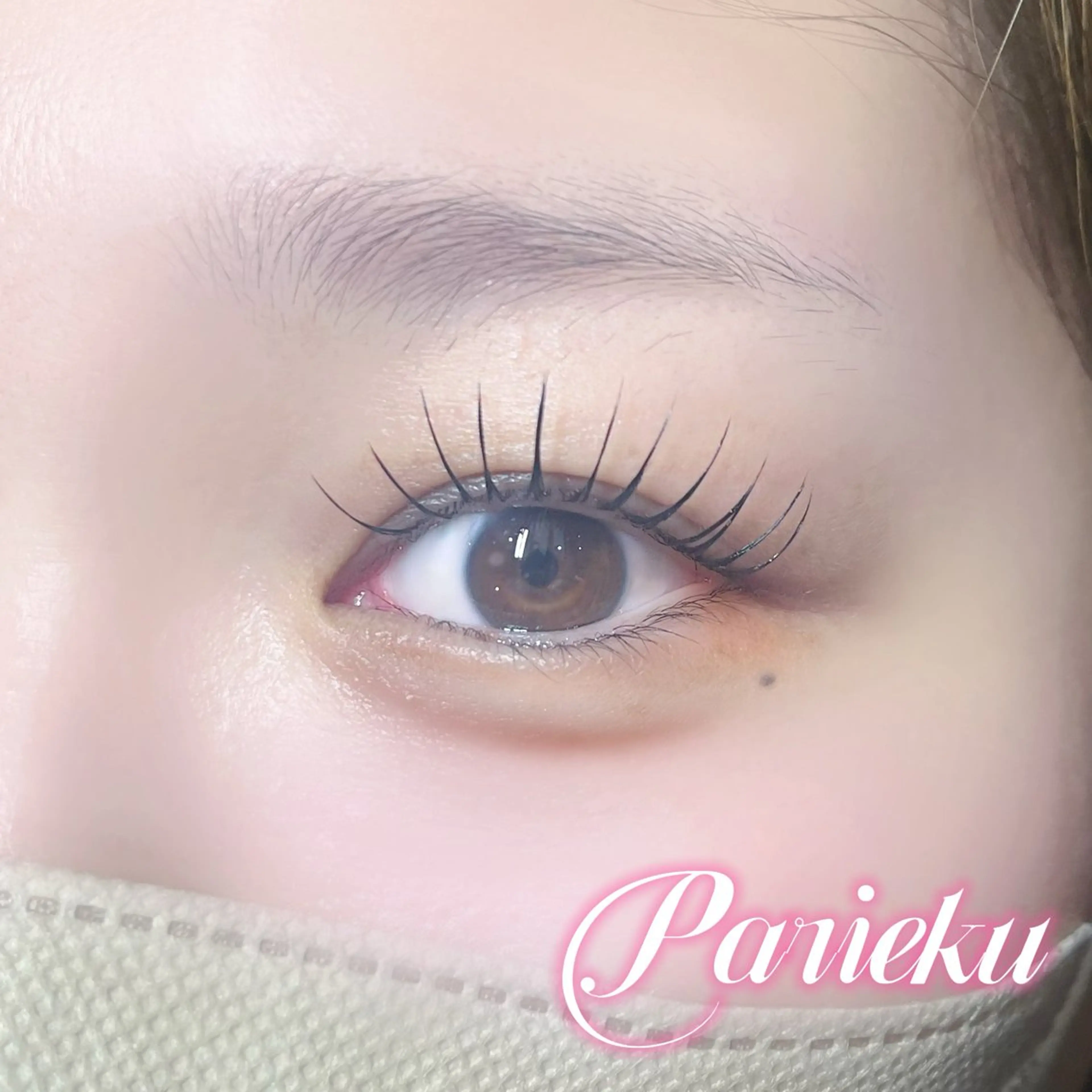 パリエク 100本の写真