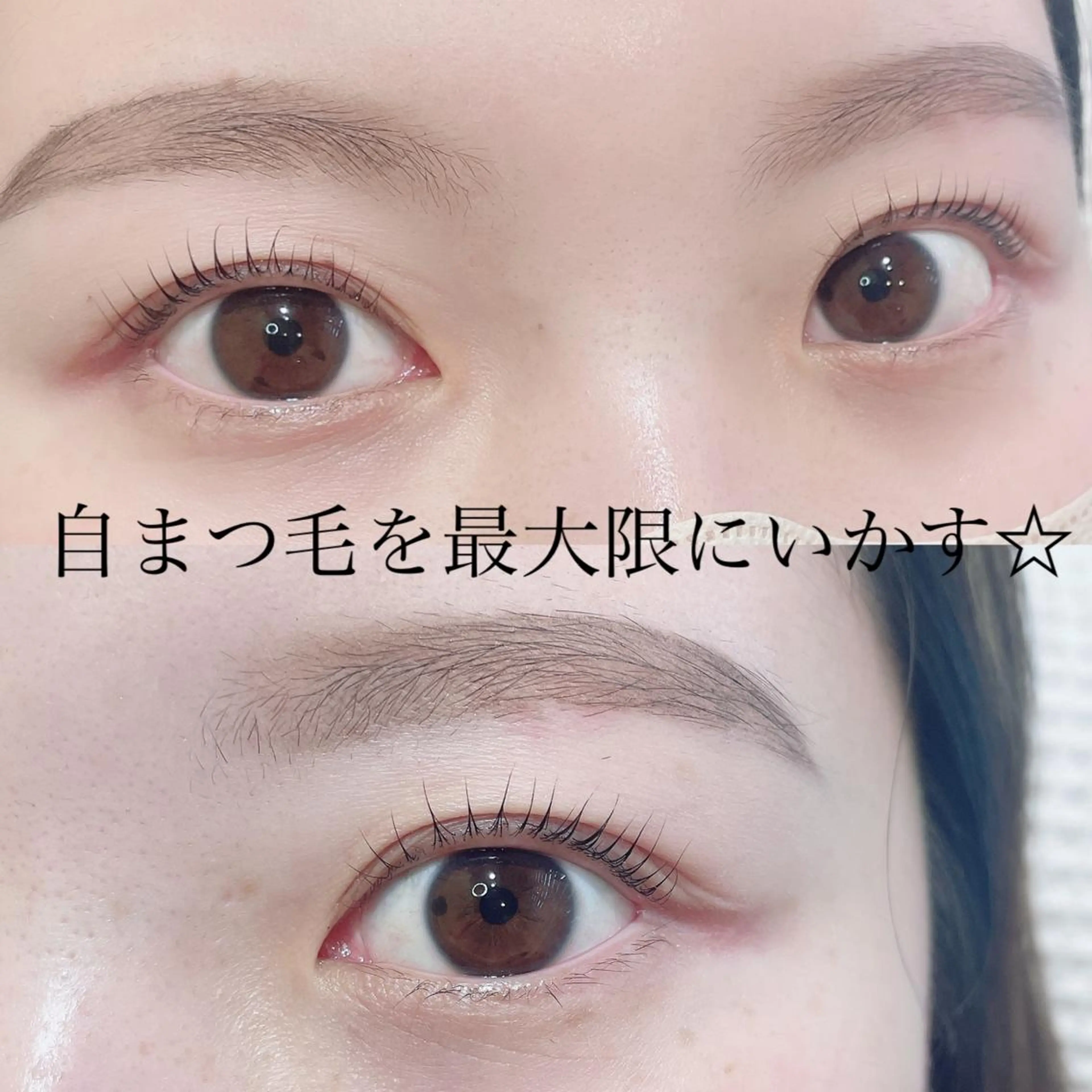マツエク・マツパ まつげパーマ 一重×まつ毛パーマ マツパ SEALA 高石の眉毛・アイブロウイメージ