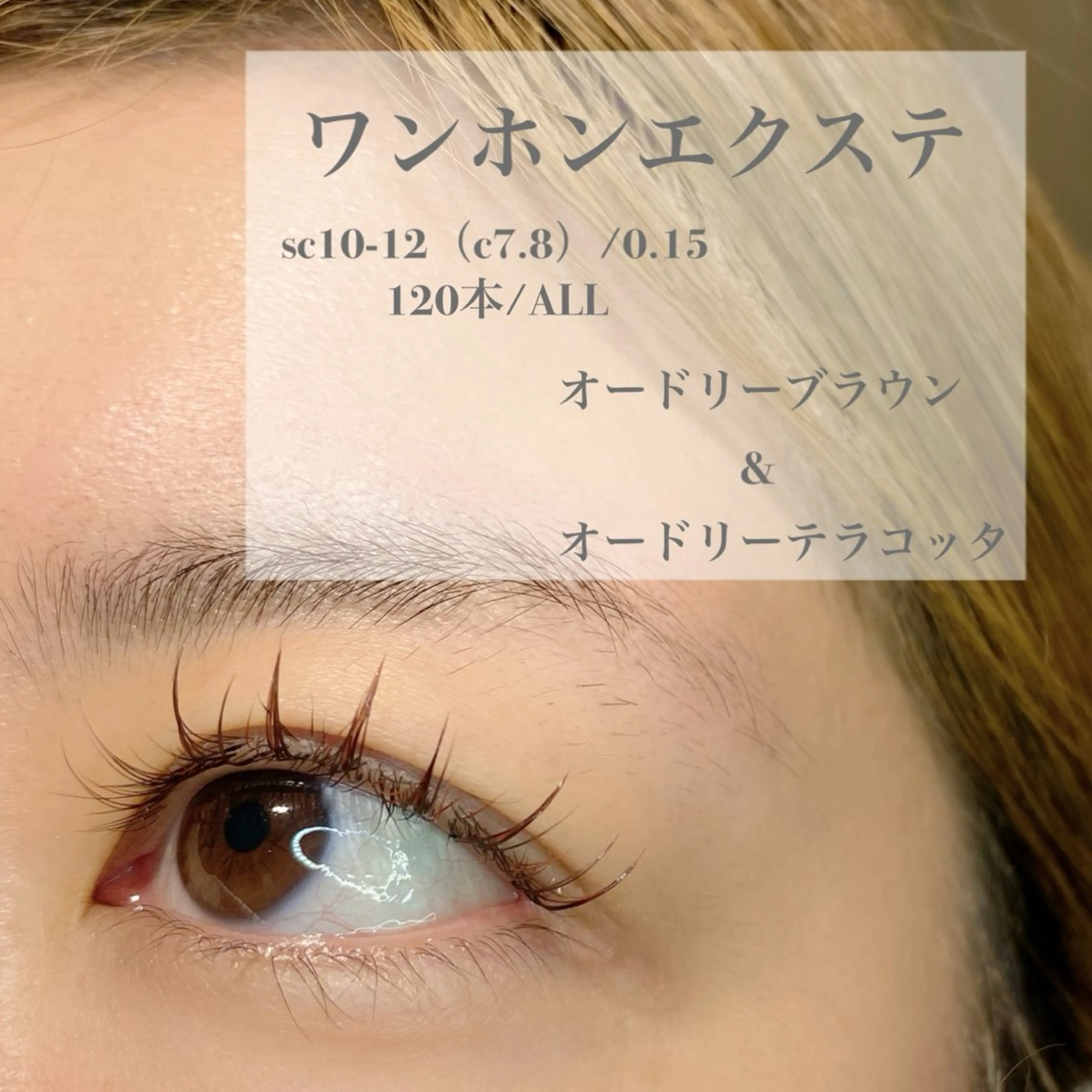 マツエク・マツパ eyelashplan阪急高槻店所属・plan阪急高槻店 🌻さき🌻のマツエク・マツパデザイン