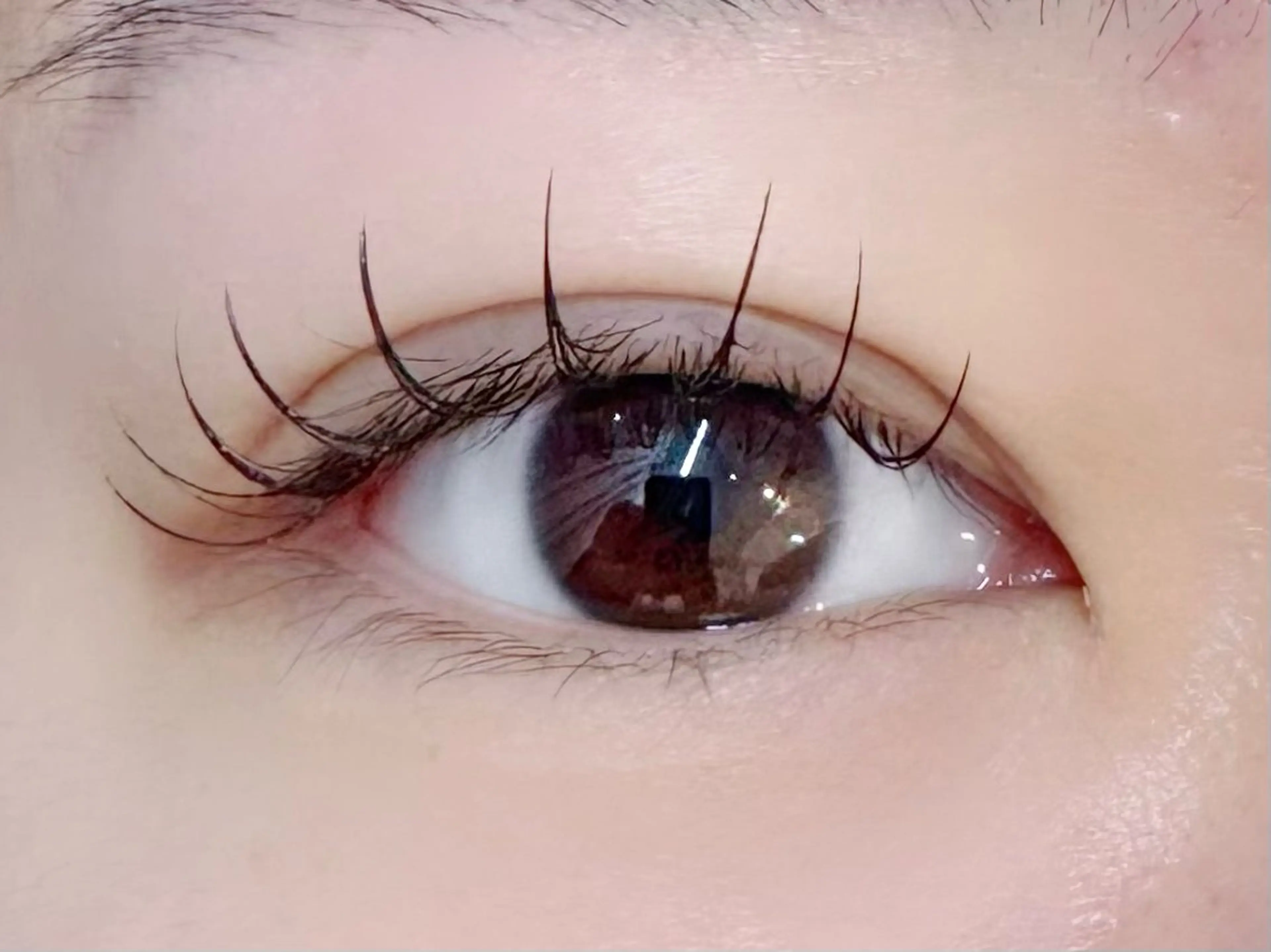 ​〜​LED​〜​フラットラッシュ❤︎80本（オフ込み）の写真