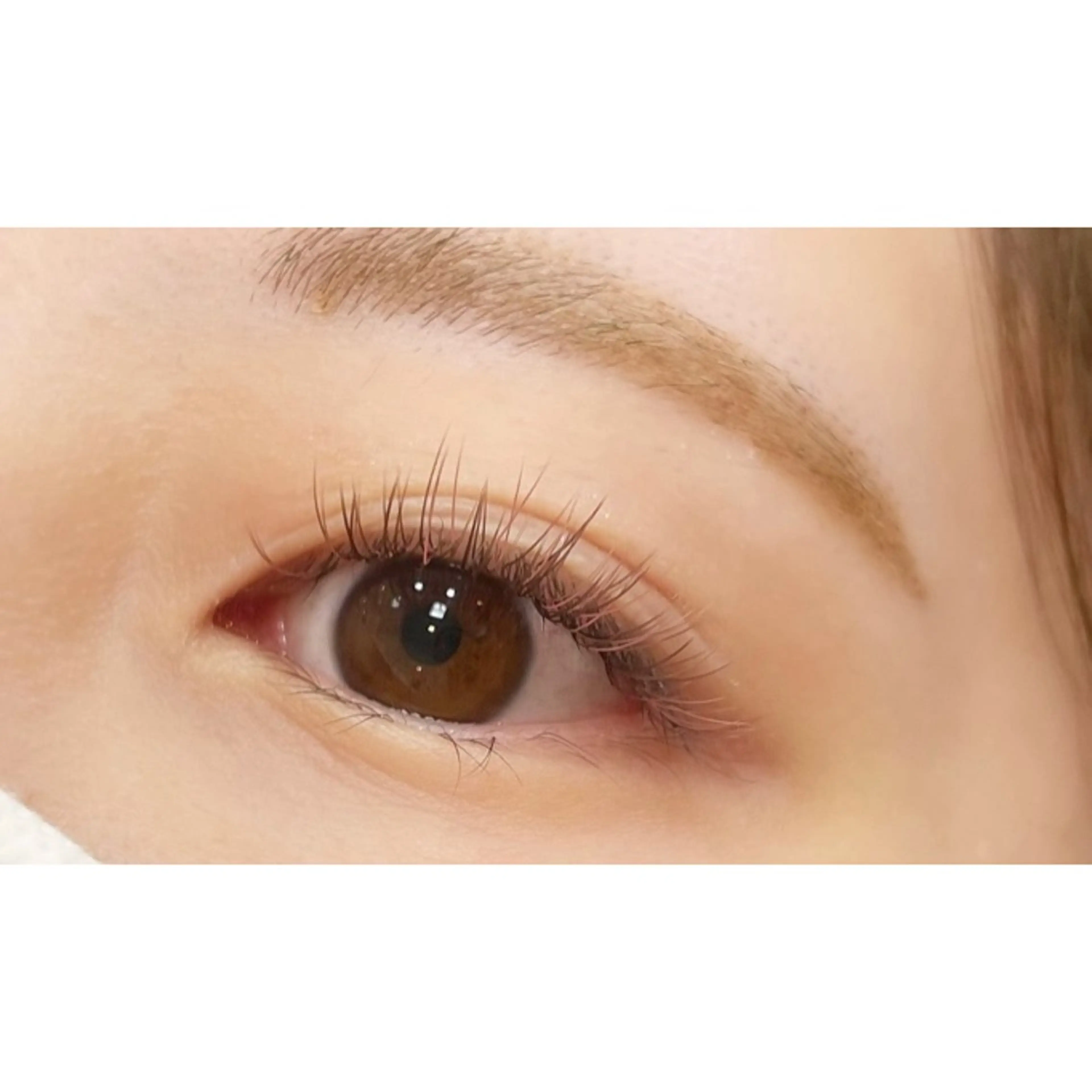 マツエク・マツパ カラーマツエク フラットラッシュ アルターエクラ ⟡.🎼 mikiのマツエク・マツパデザイン