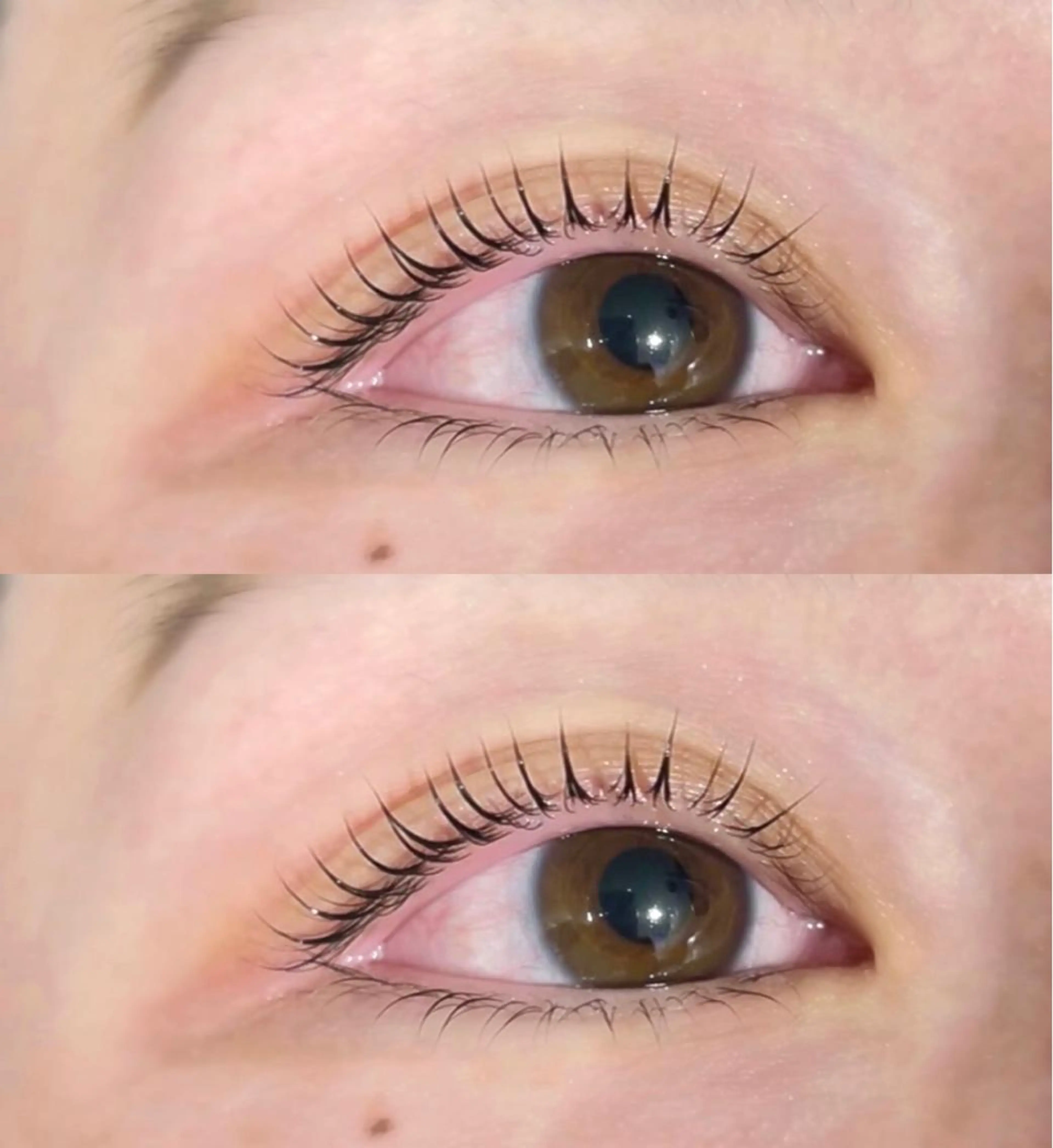 マツエク・マツパ Luxxe静岡店 石川のマツエク・マツパデザイン