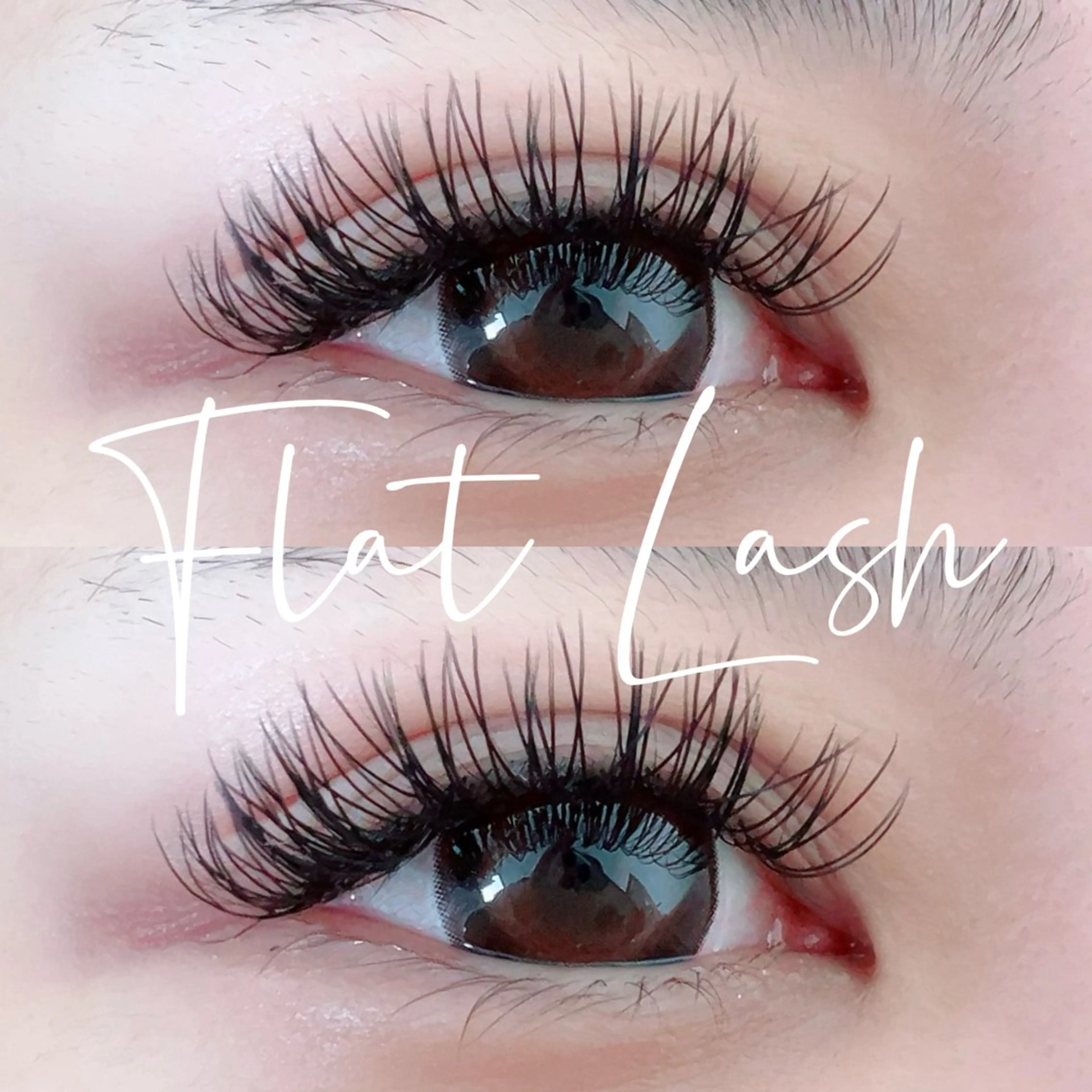 マツエク・マツパ マツエク 【Aile】 YUKAのマツエク・マツパデザイン