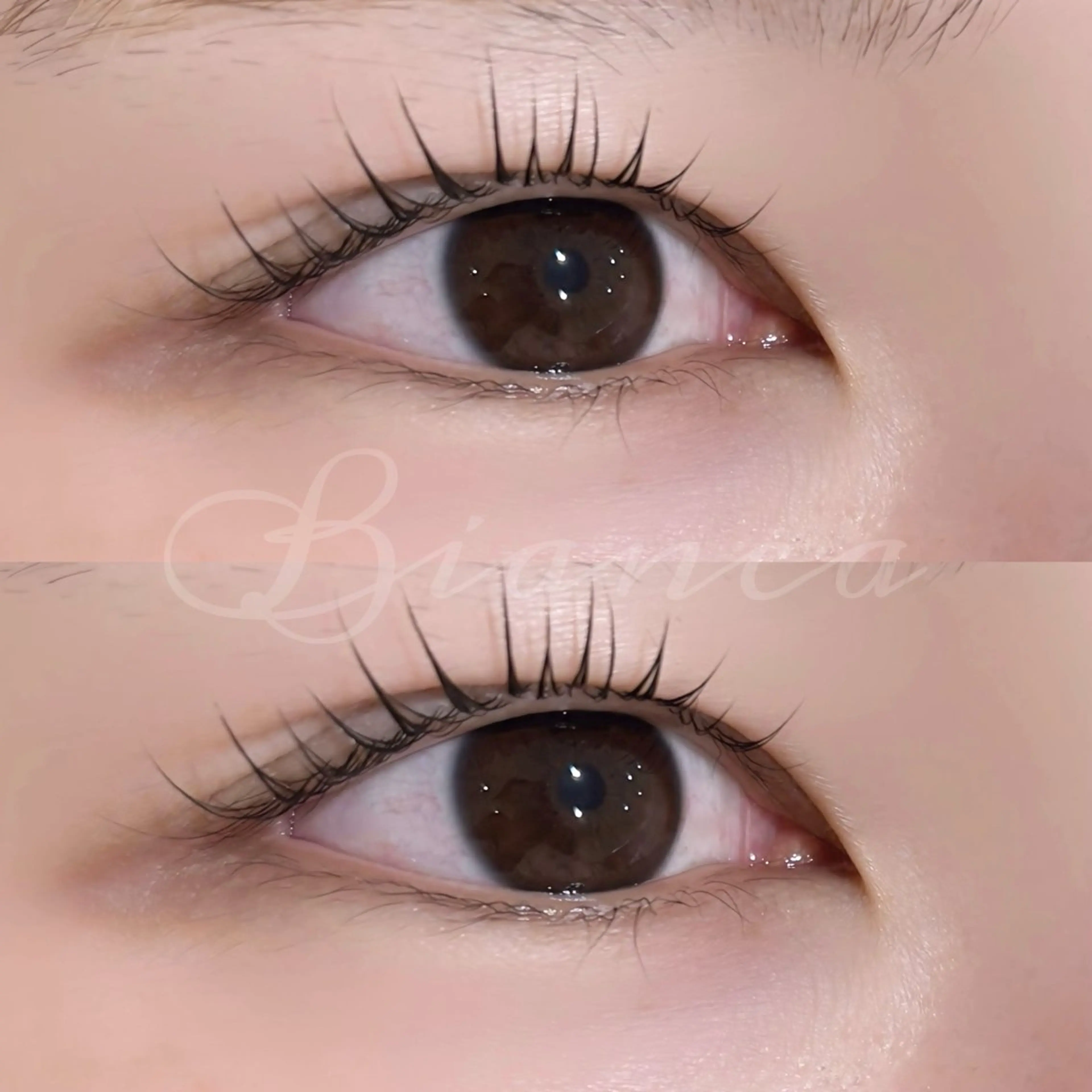 【本日限定価格❣️】まつげパーマ[上のみ]⟡.·メイク時短💖 /川口/蕨の写真