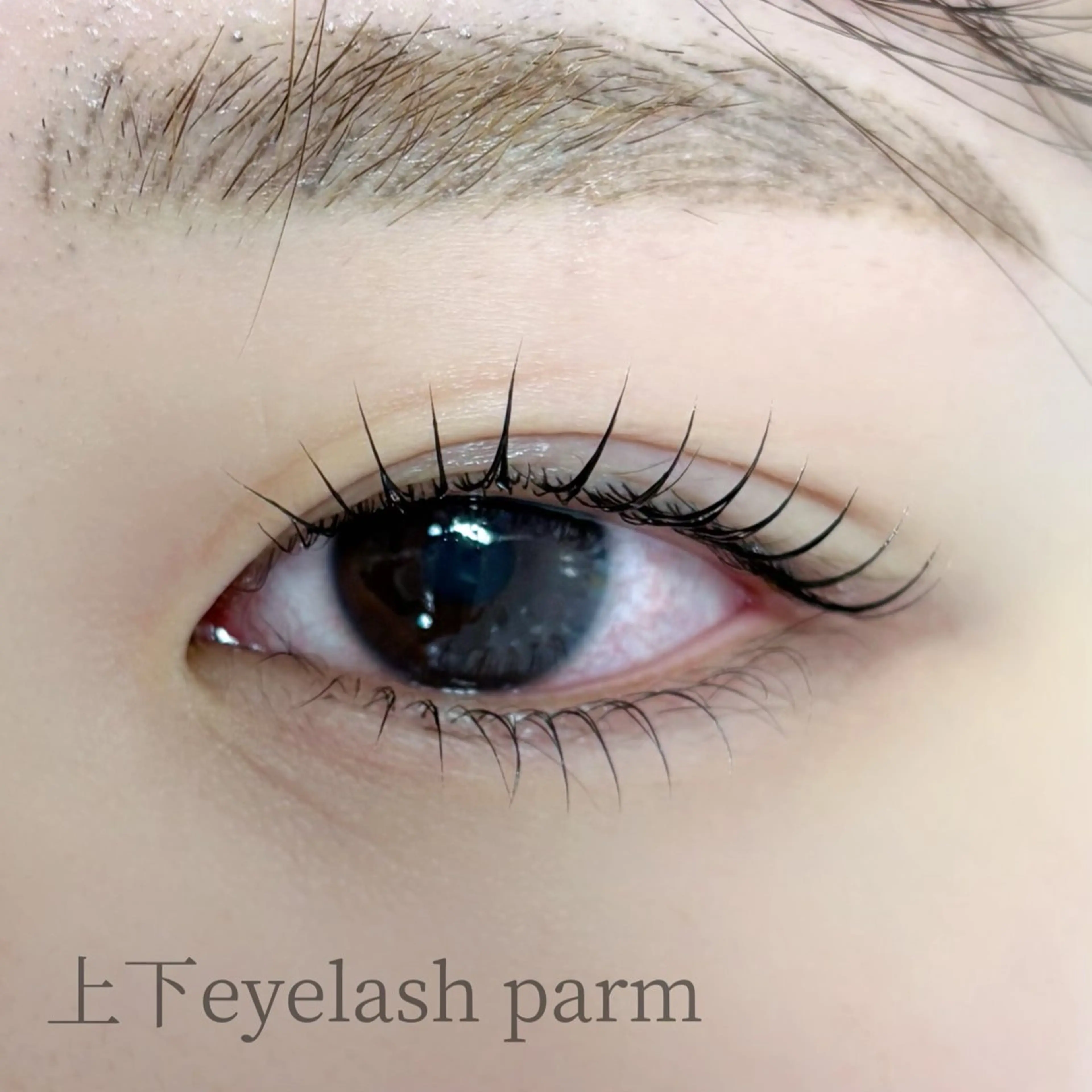 マツエク・マツパ 下まつげエクステ 一重×まつ毛パーマ signpost 鈴木のマツエク・マツパデザイン