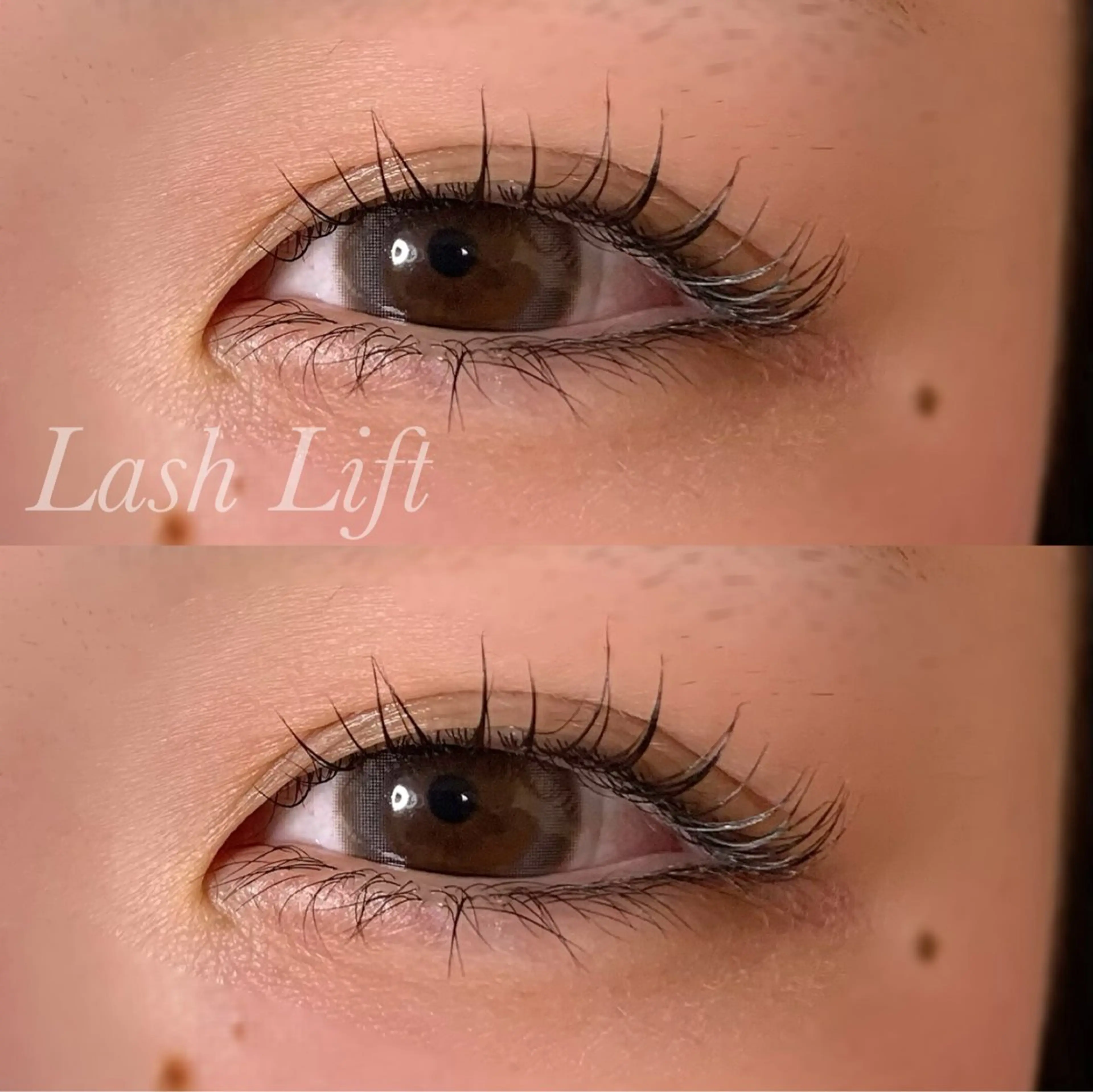 マツエク・マツパ まつげパーマ マツパ Ayumi.pro 🍆N《4階》のマツエク・マツパデザイン