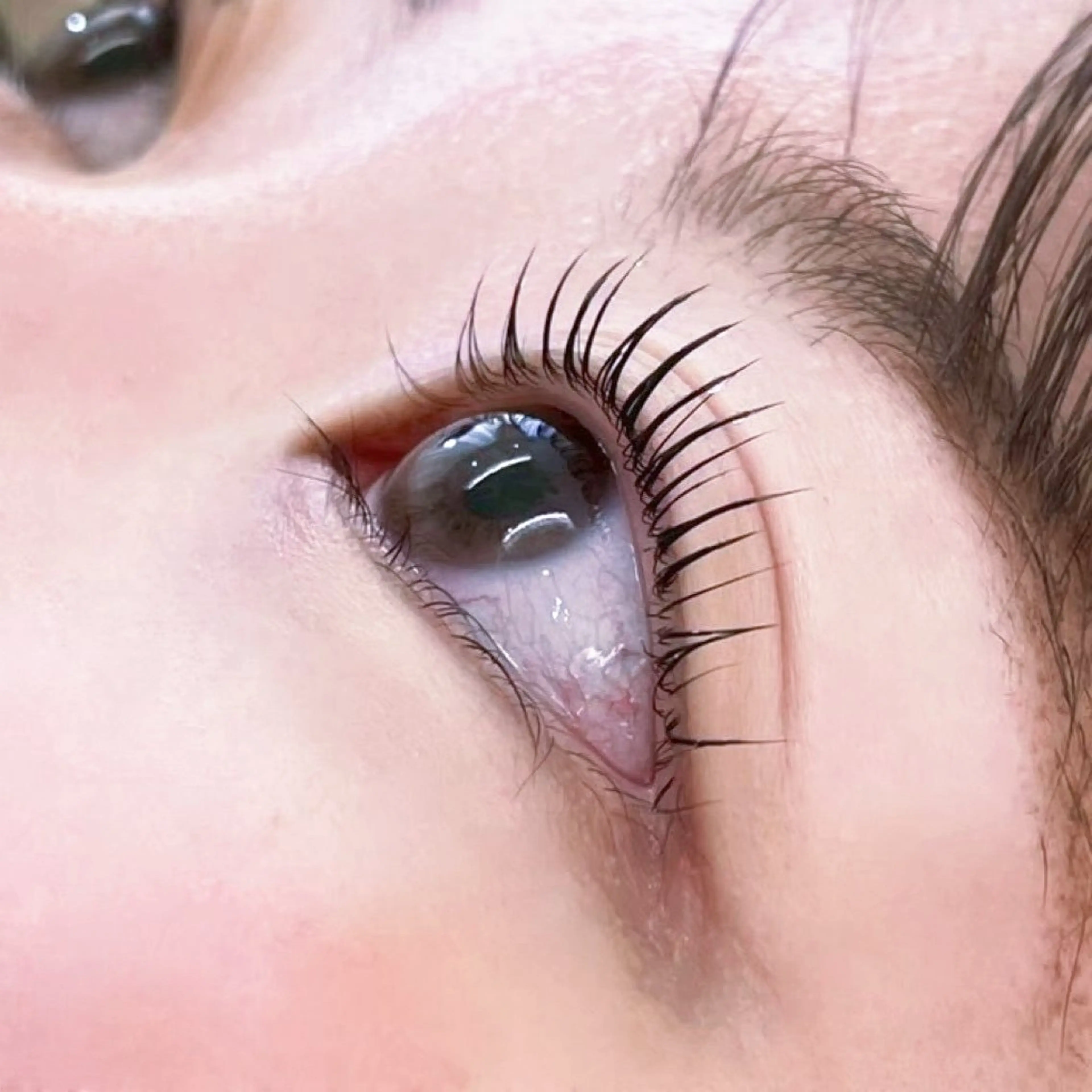 マツエク・マツパ ゆあ ♪🎀のマツエク・マツパデザイン