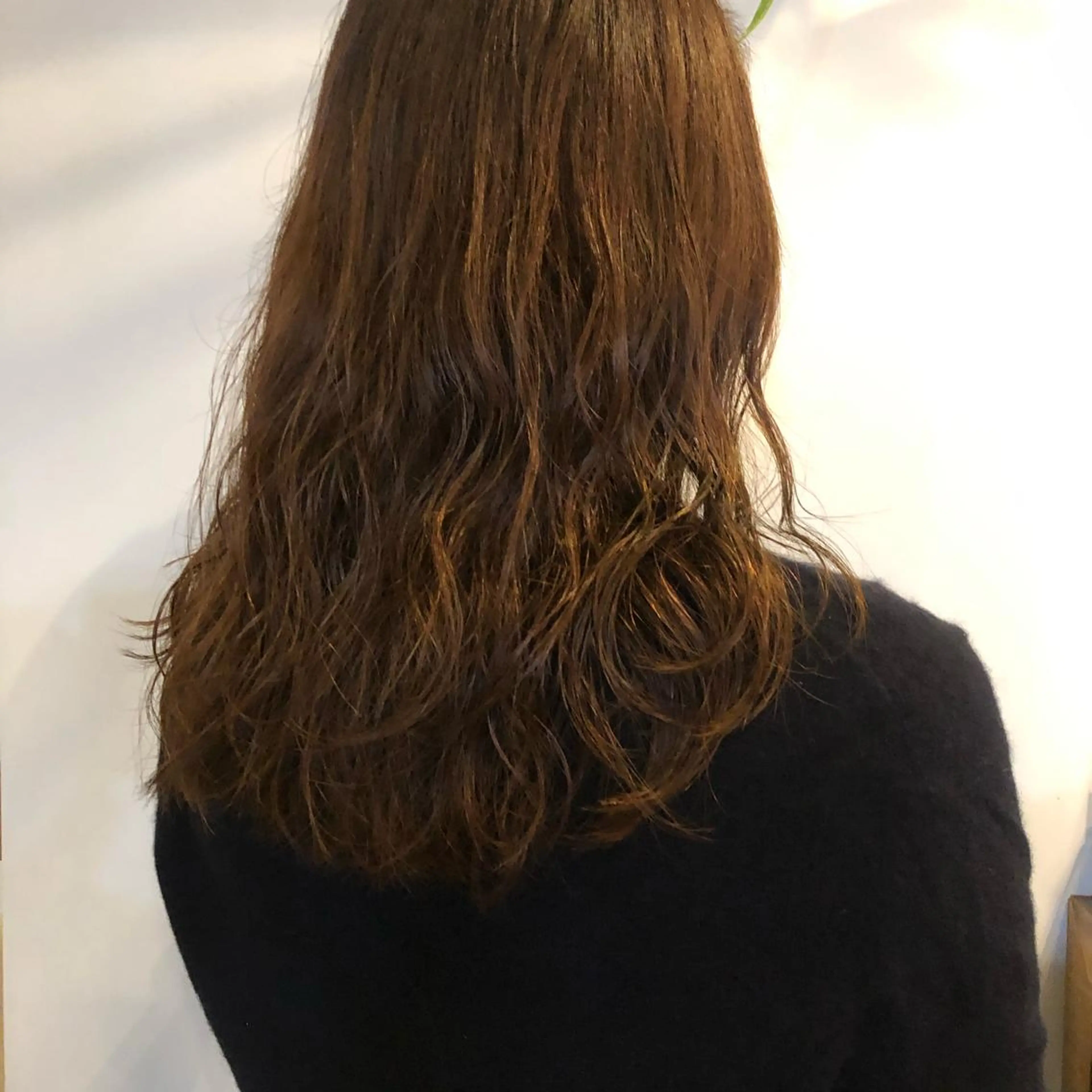 セミロング パーマ セミロングパーマ hono/ボブ/ ハイトーン/ベージュのヘアスタイル