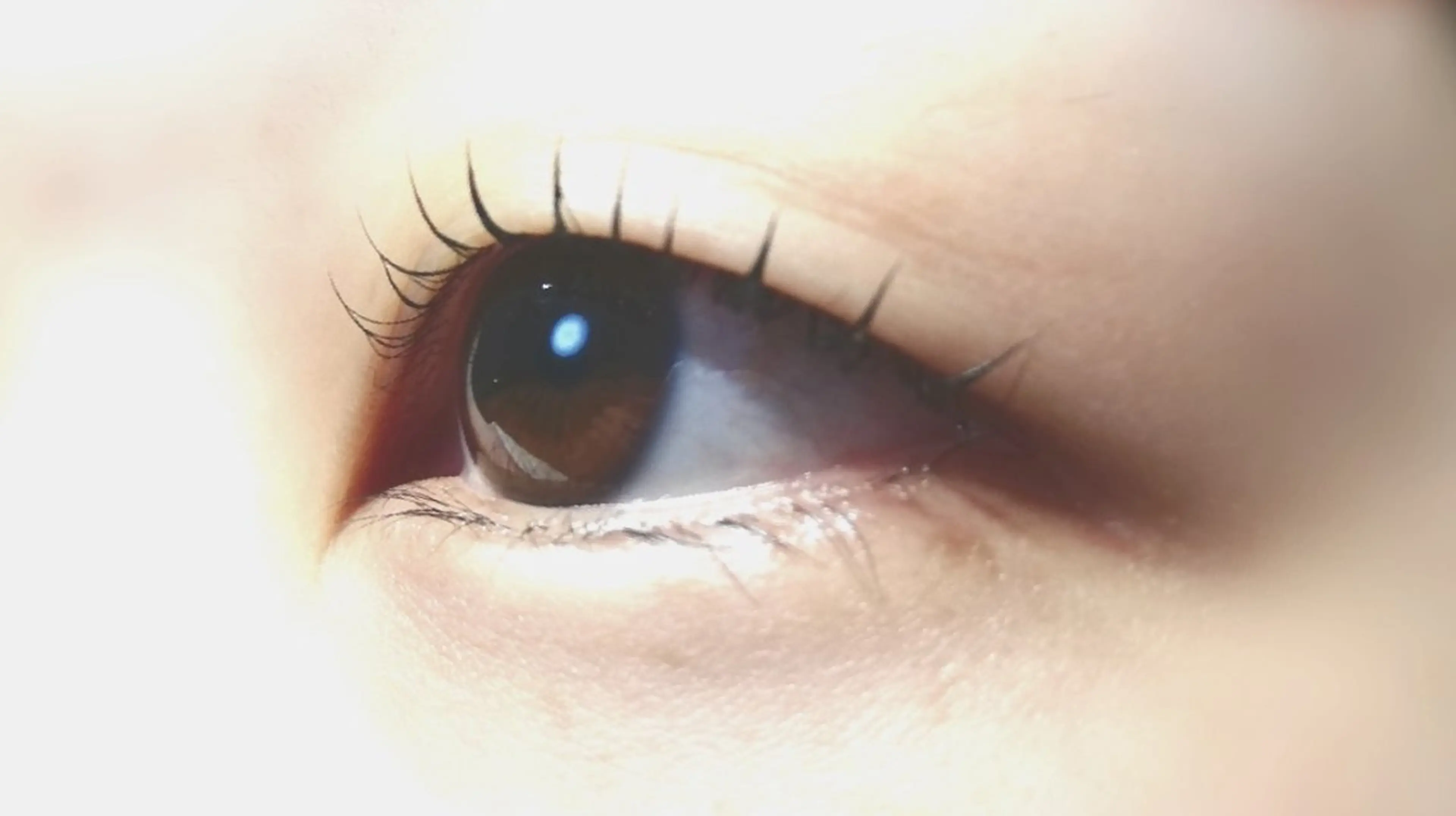 マツエク・マツパ 束感まつ毛 Dカール 一重×まつ毛パーマ マツパ 完全個室サロン🌹 angelux🌹のマツエク・マツパデザイン