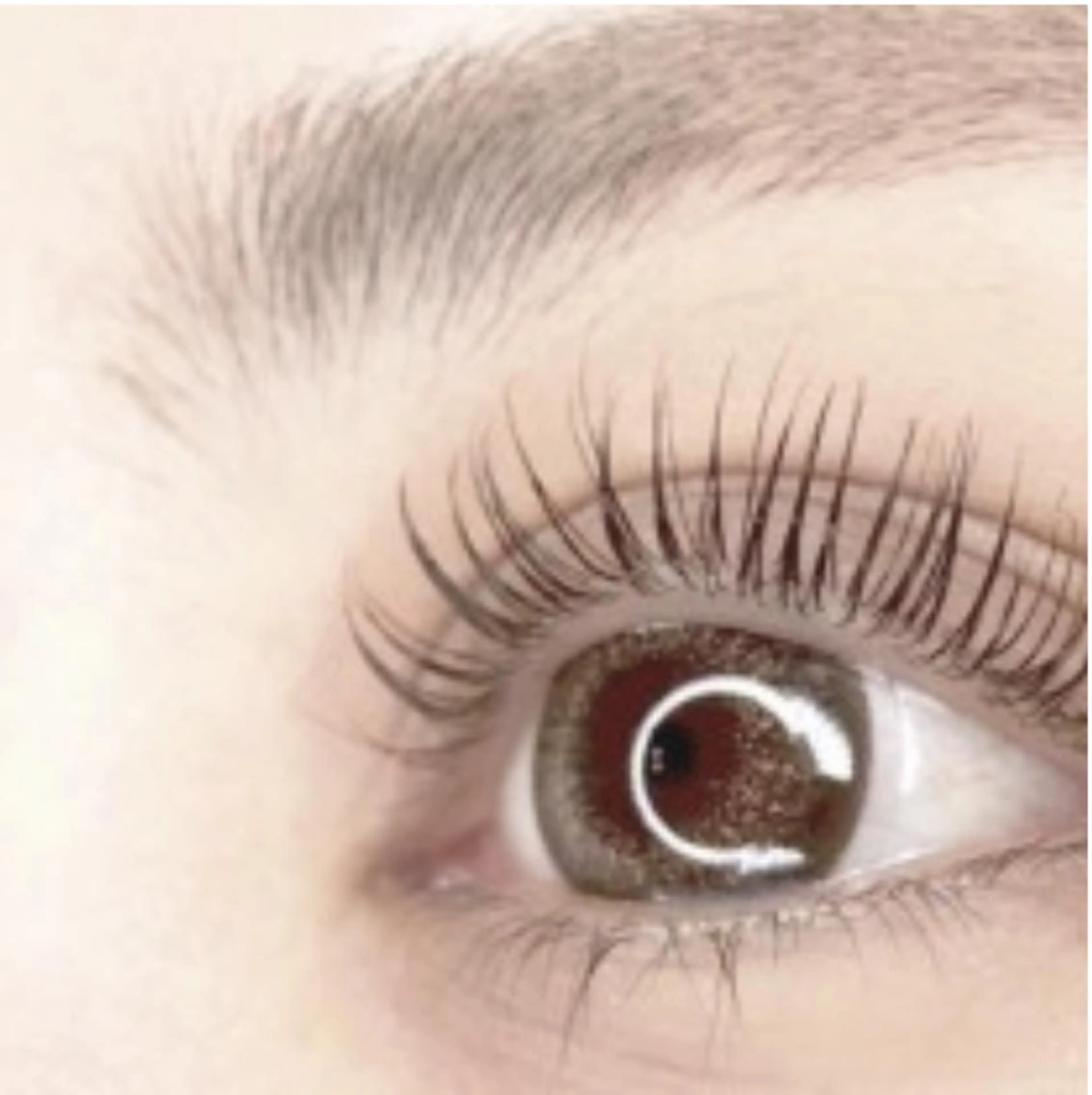 マツエク・マツパ まつげパーマ Loel Ayaneのマツエク・マツパデザイン