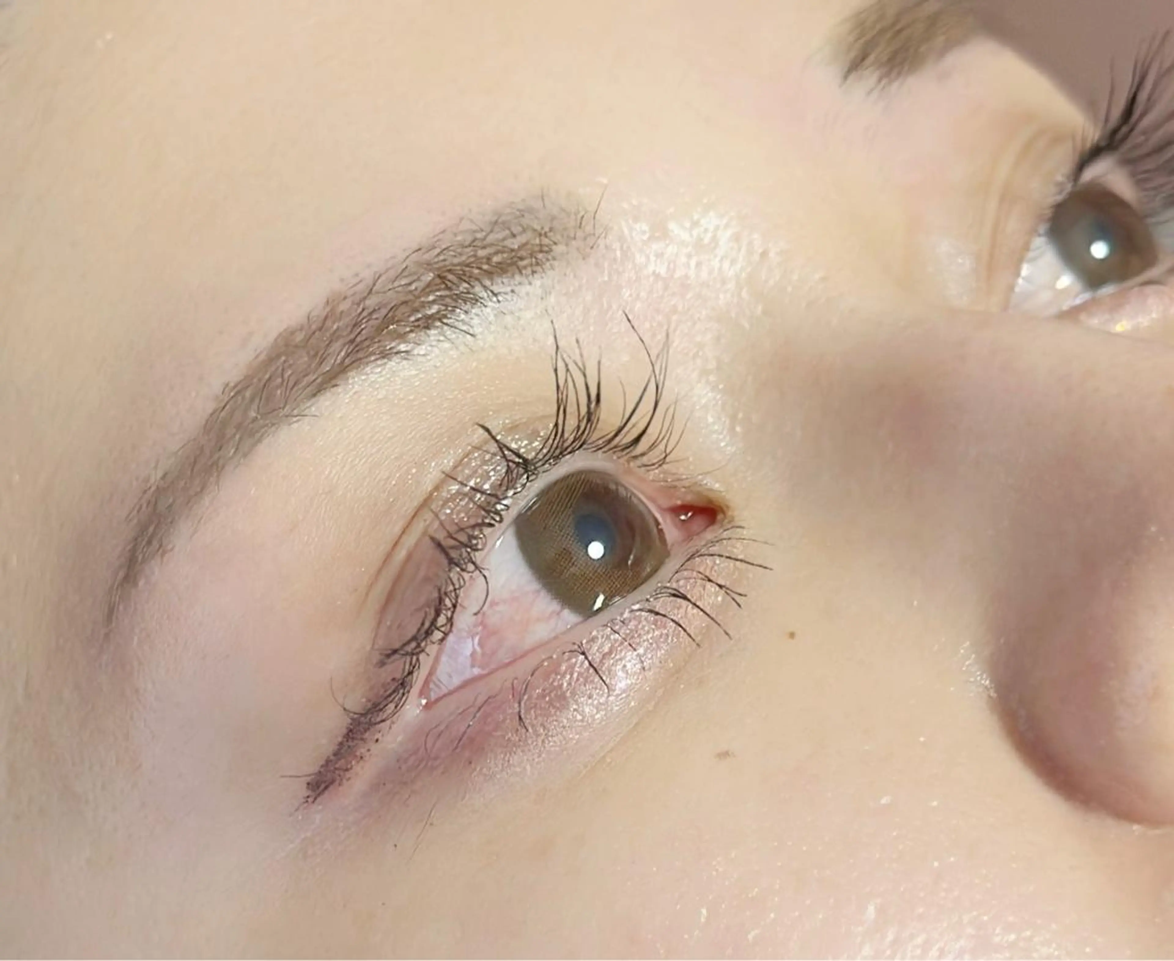 アイブロウ 眉毛ワックス脱毛 ワックス脱毛 その他(アイブロウ) ｍｉｐｐｙ 🪽のマツエク・マツパデザイン