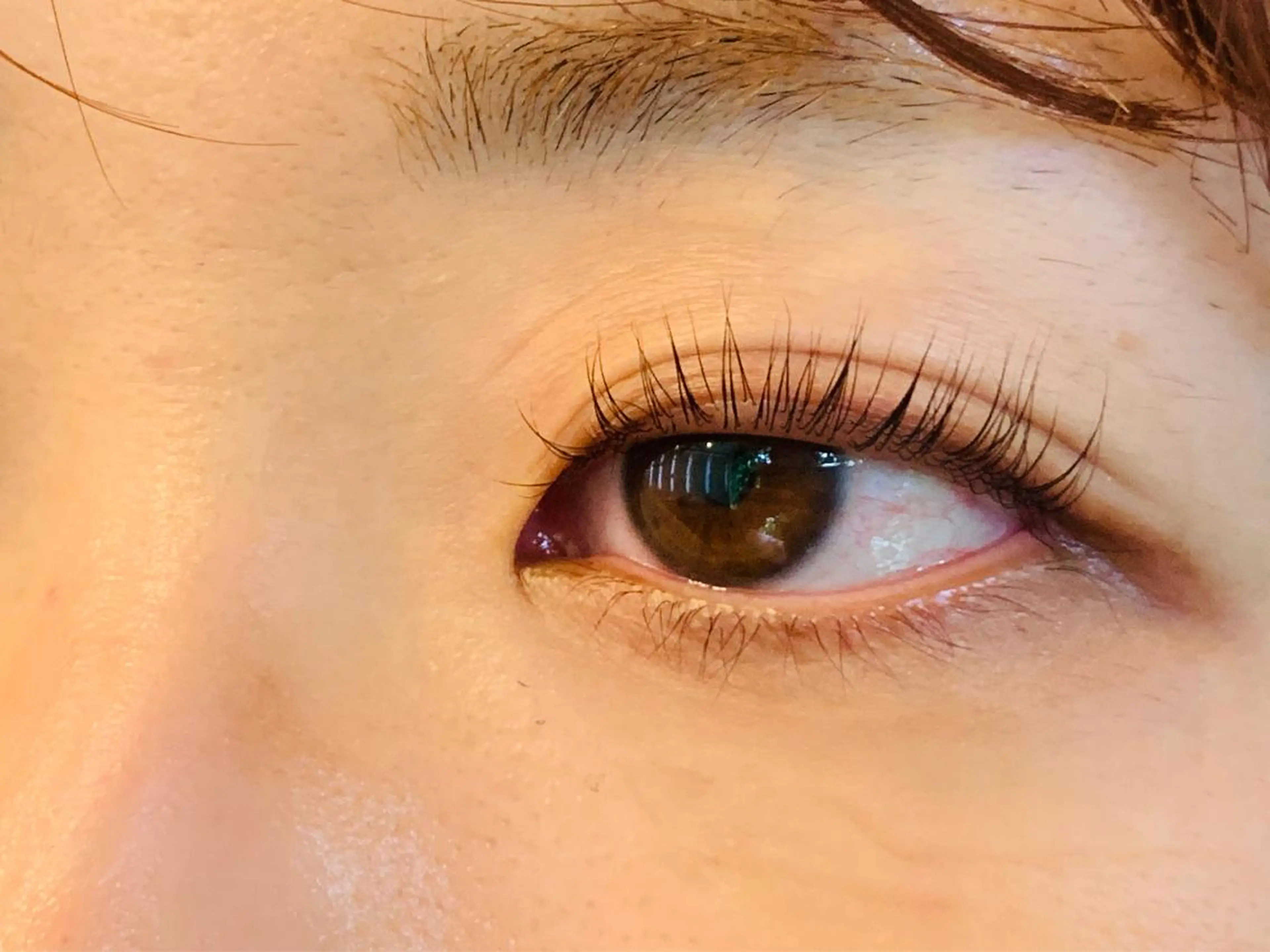 パリジェンヌ or ラッシュリフトの写真