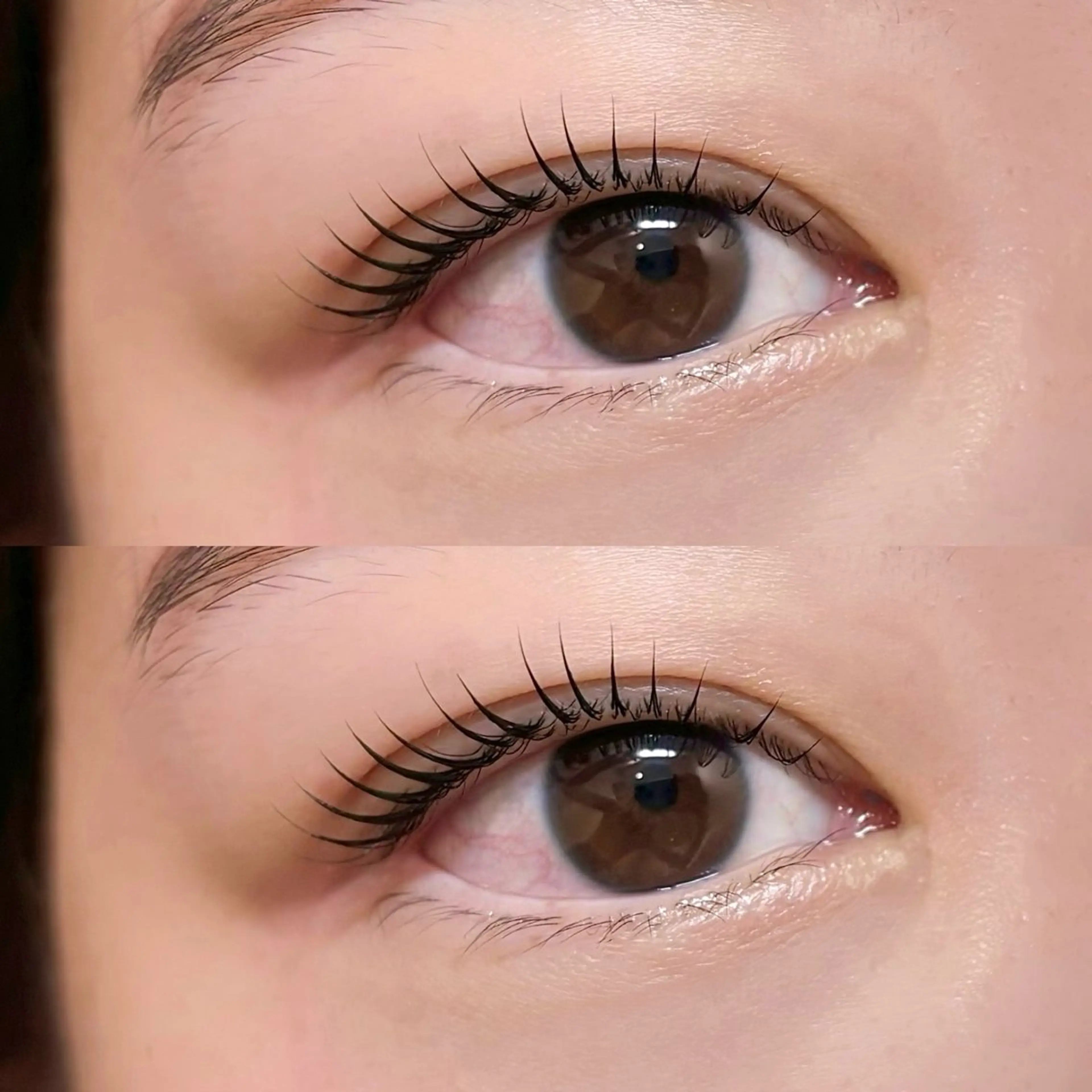 マツエク・マツパ GOTODAY シェアサロン福岡天神Lino店所属・maimi ／GO TODAY Linoのマツエク・マツパデザイン