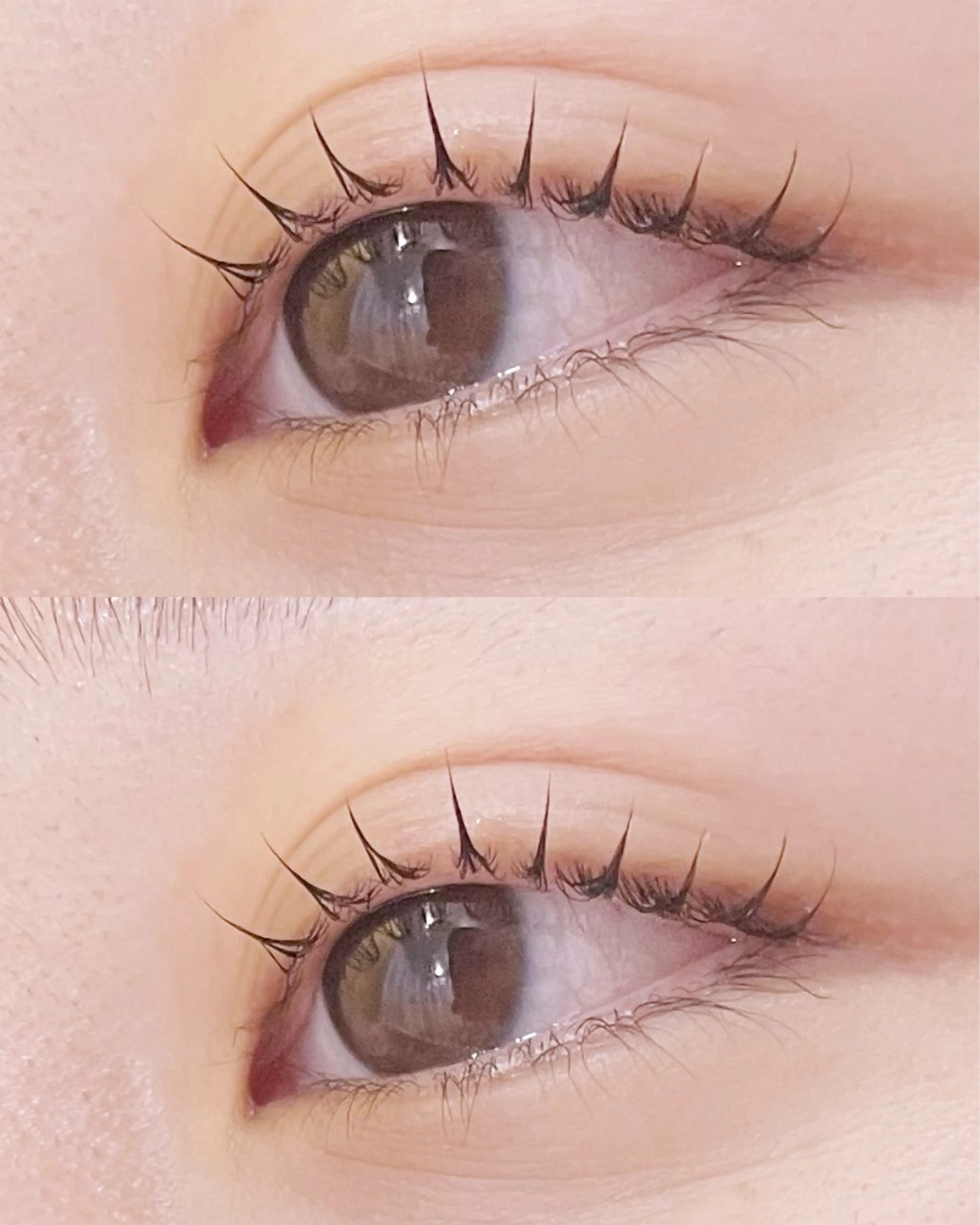 【ケア】✨まつげパーマ+アイシャンプー✨🇰🇷韓国風コーティング束感仕上げ🇰🇷の写真