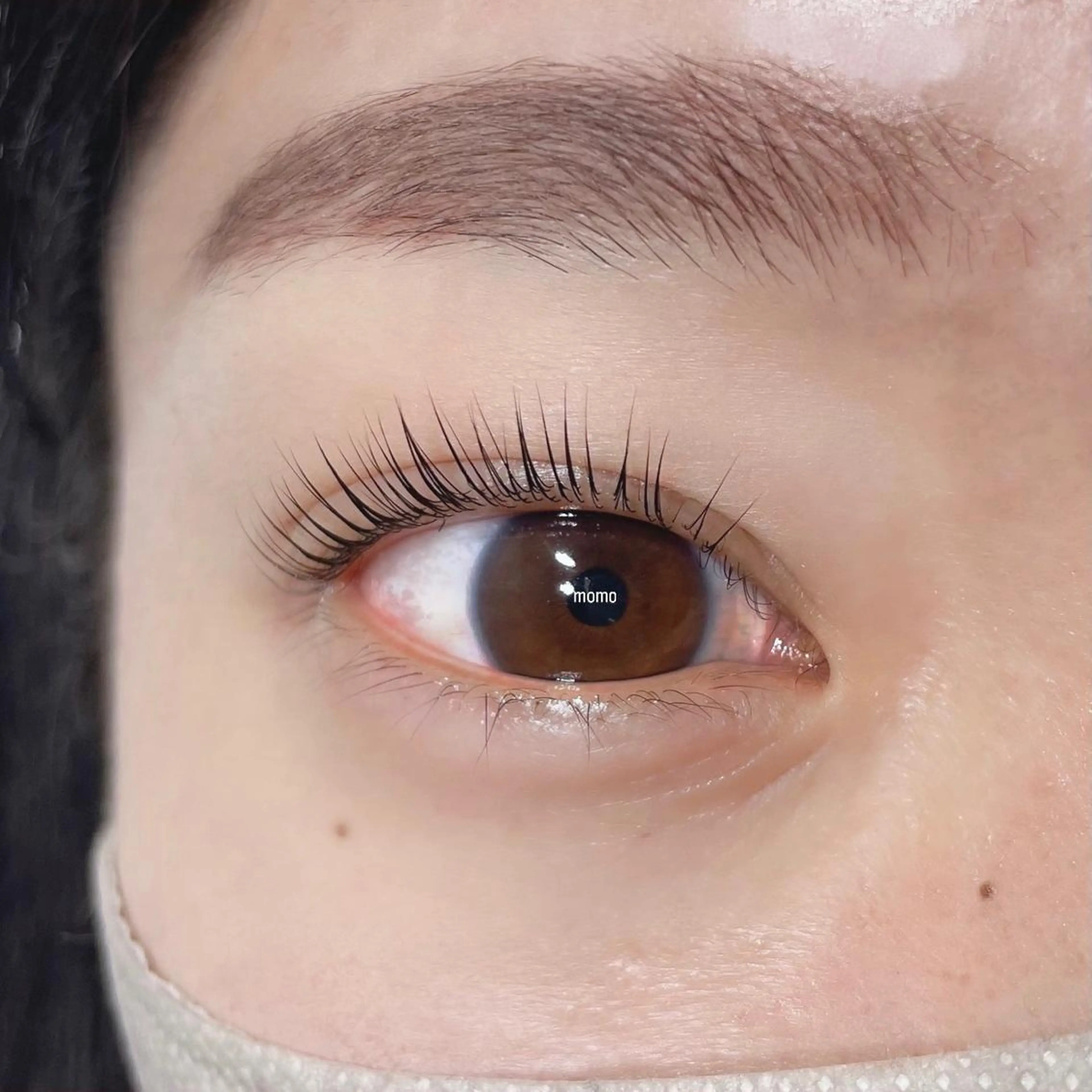 【ご新規様限定】パリジェンヌラッシュリフト🕊️の写真