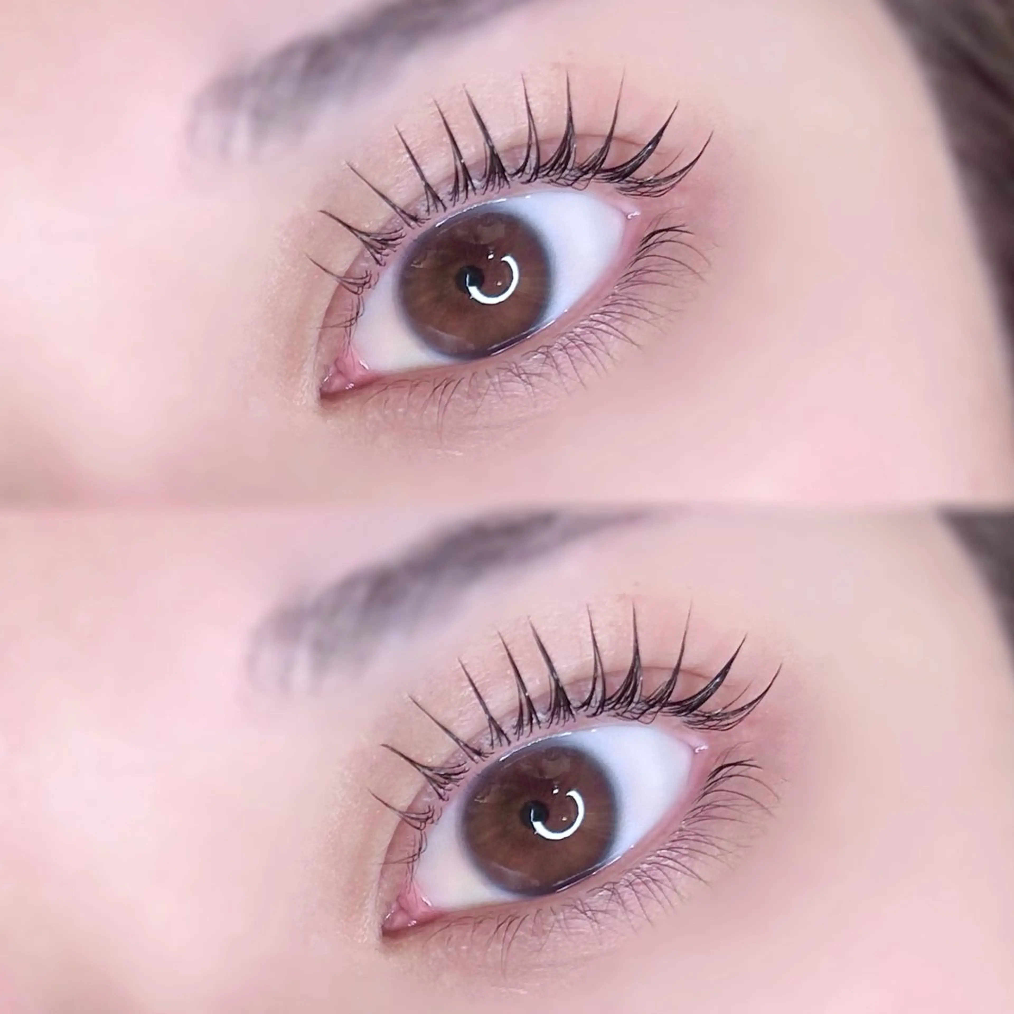 マツエク・マツパ kurumi🍒◝✩ /amii新宿のマツエク・マツパデザイン