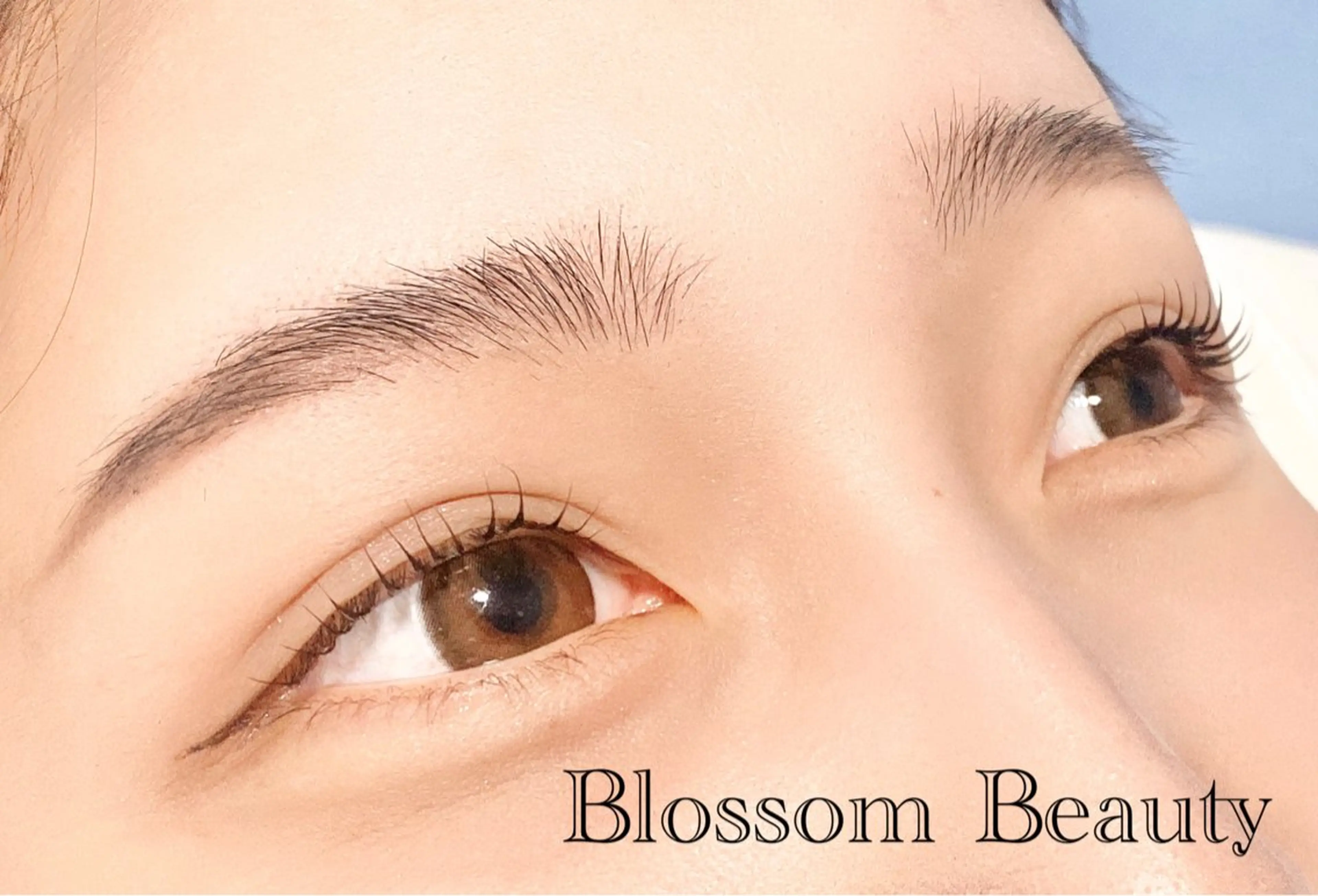 マツエク・マツパ Blossom Beauty aoiのマツエク・マツパデザイン