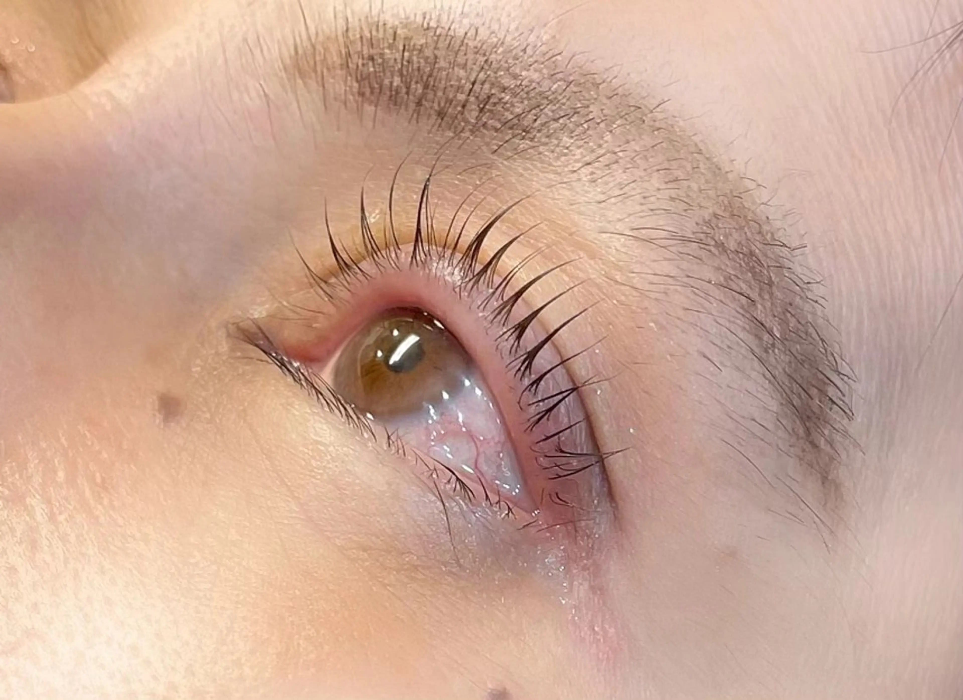 マツエク・マツパ RIM 🕊️ 恵比寿のマツエク・マツパデザイン