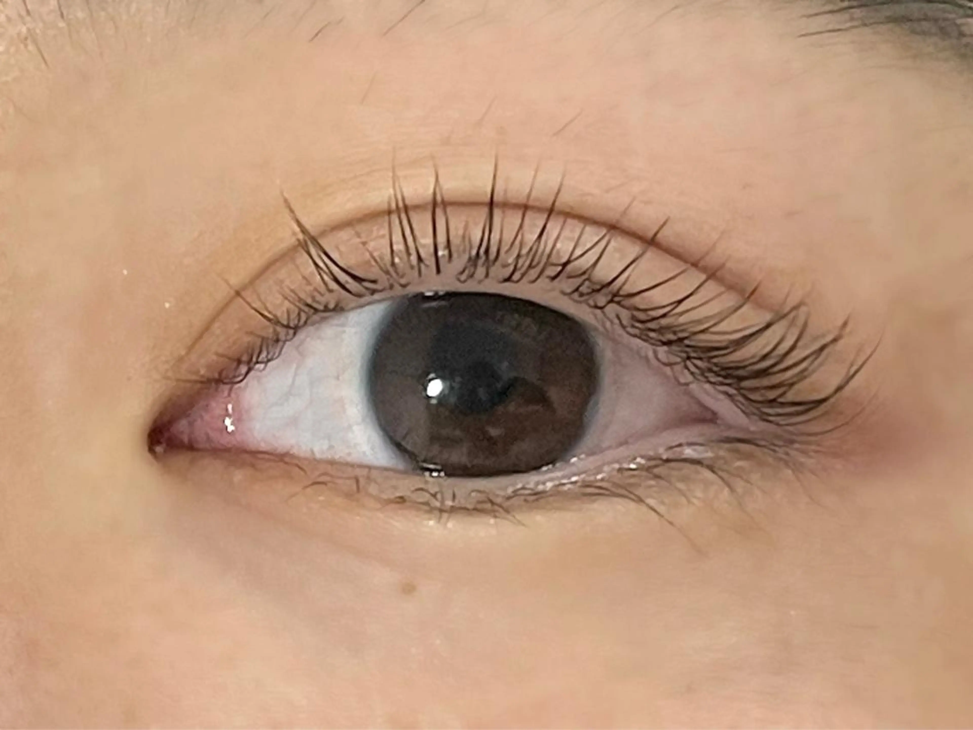 マツエク・マツパ セレビアイ新越谷 藤本のマツエク・マツパデザイン