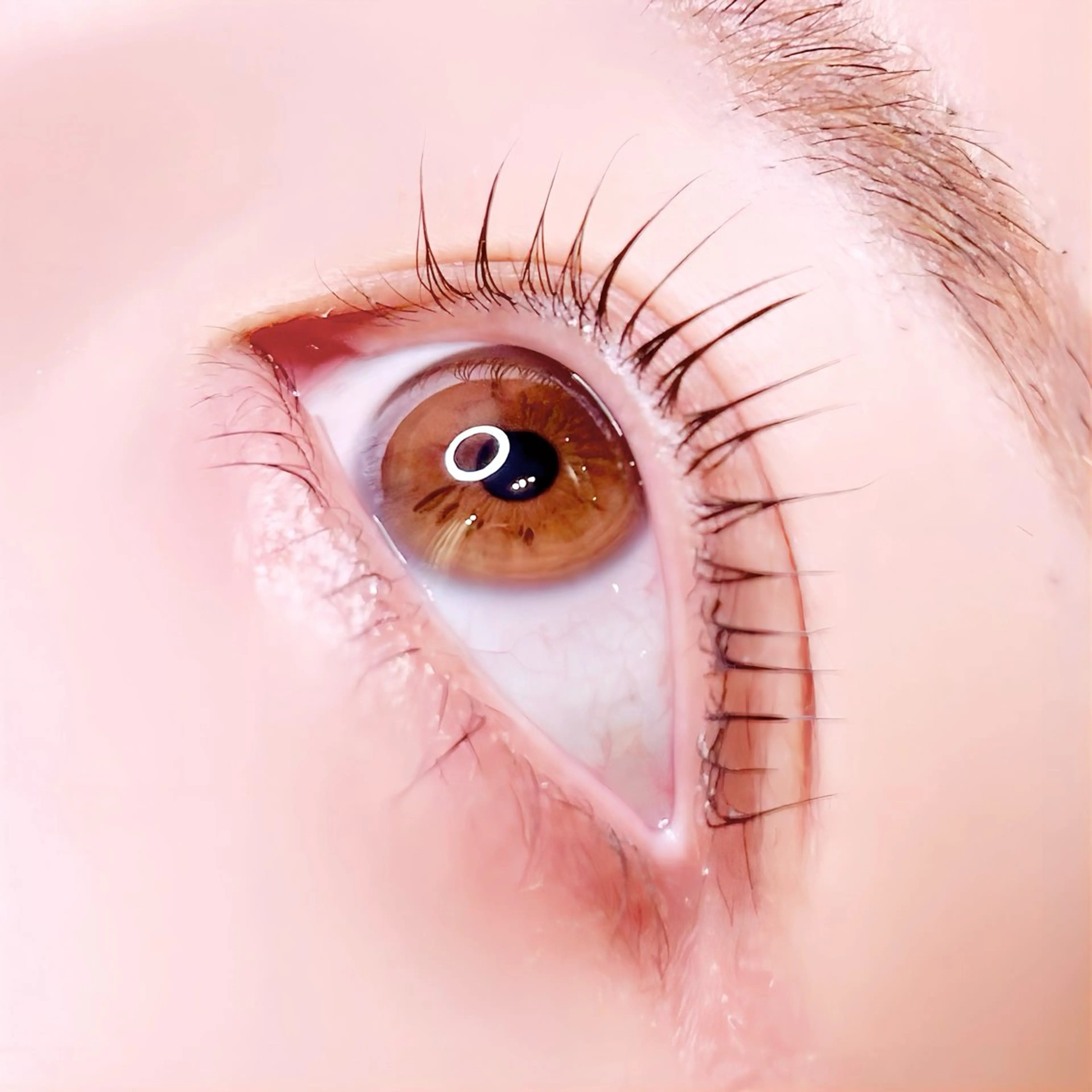 マツエク・マツパ 束感まつ毛 まつげパーマ マツパ ‎🪞Be.┊ Miku┊マツパ🌙のマツエク・マツパデザイン