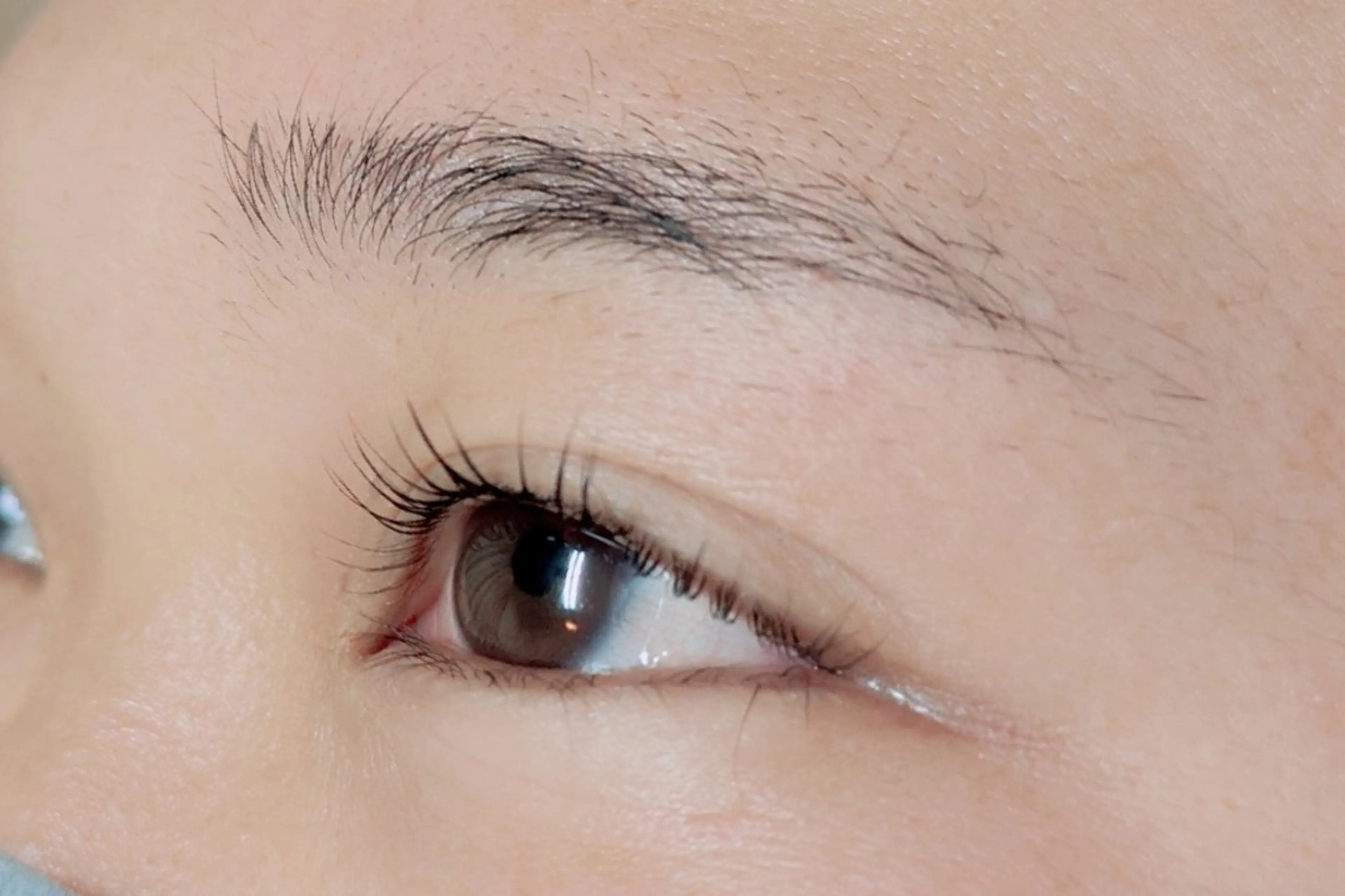 ３回目の方限定！えらべるラッシュリフト👁️3回目価格✨️美容液コーティング付きの写真