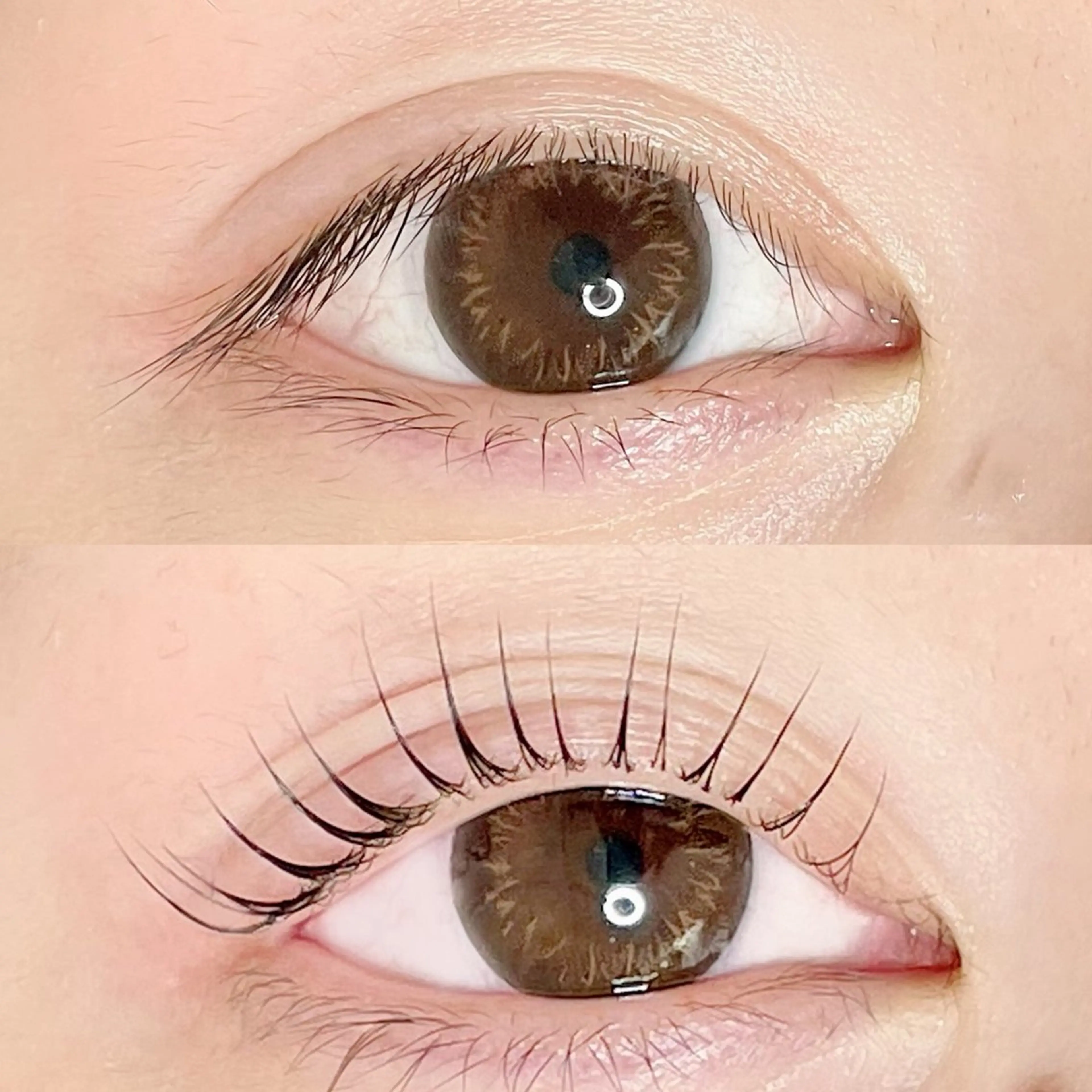 マツエク・マツパ AYLASH🧡 猪又のマツエク・マツパデザイン