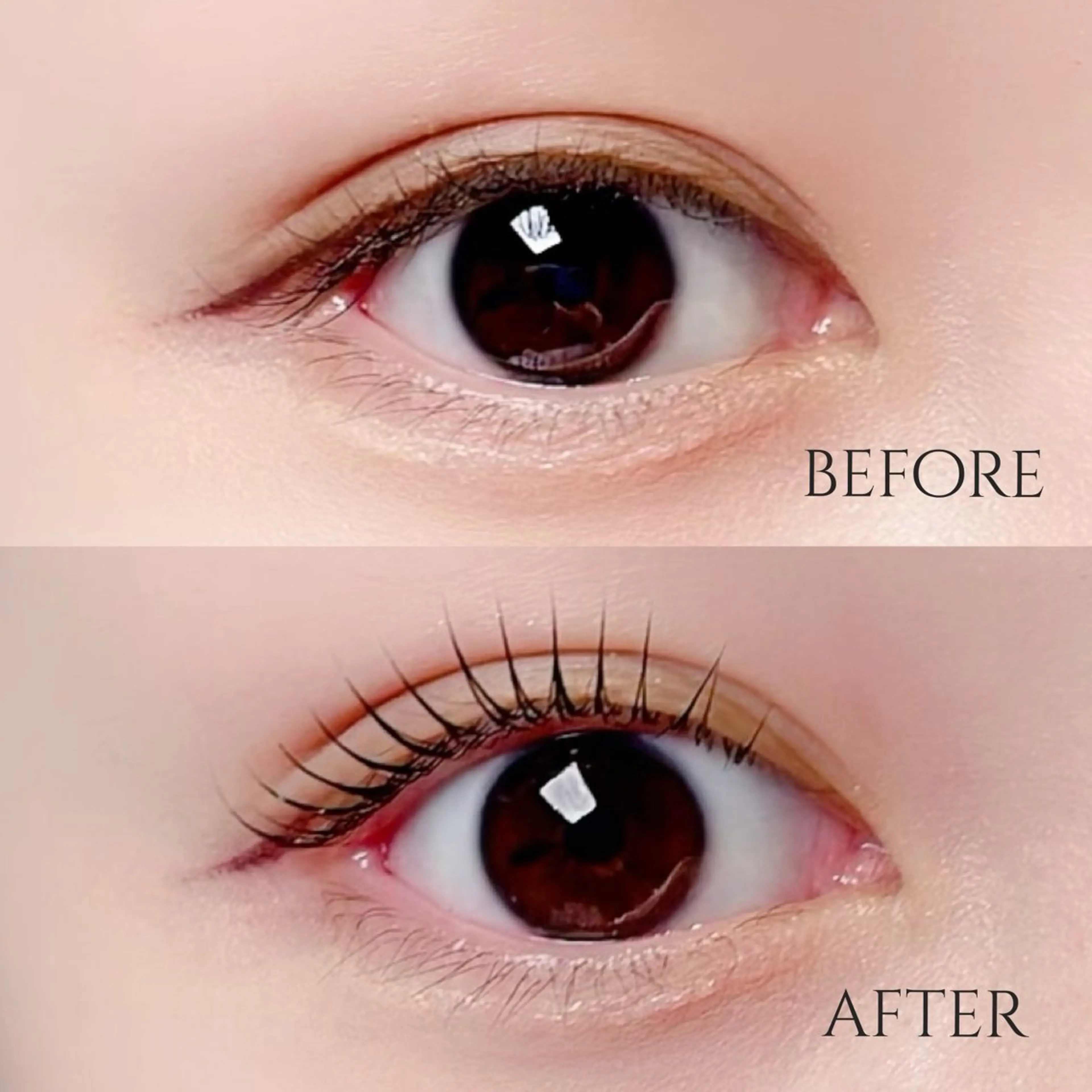 マツエク・マツパ MOMOE 恵比寿 まつげパーマのマツエク・マツパデザイン