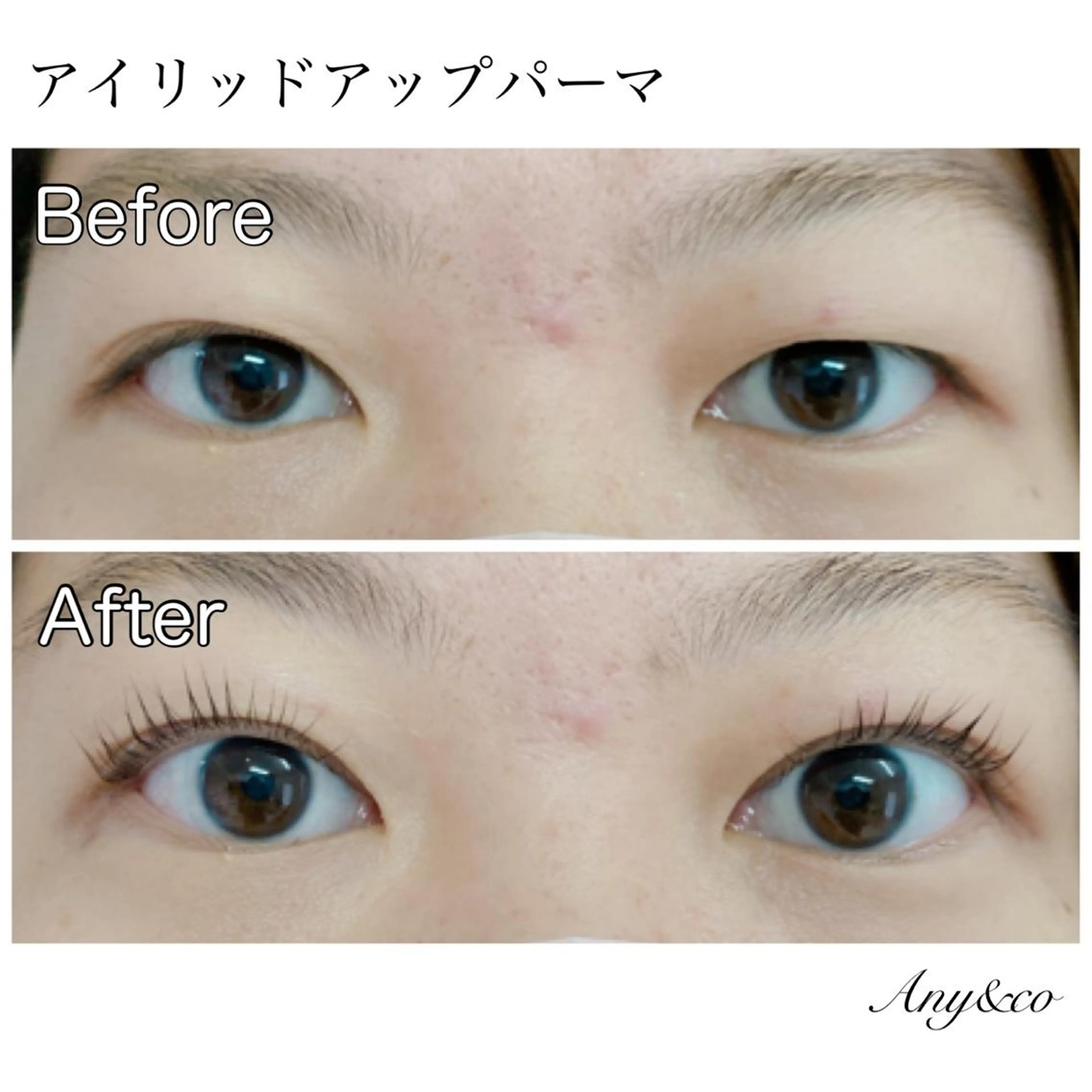 マツエク・マツパ アイリッドアップパーマ Any&co 【エニコ】のマツエク・マツパデザイン