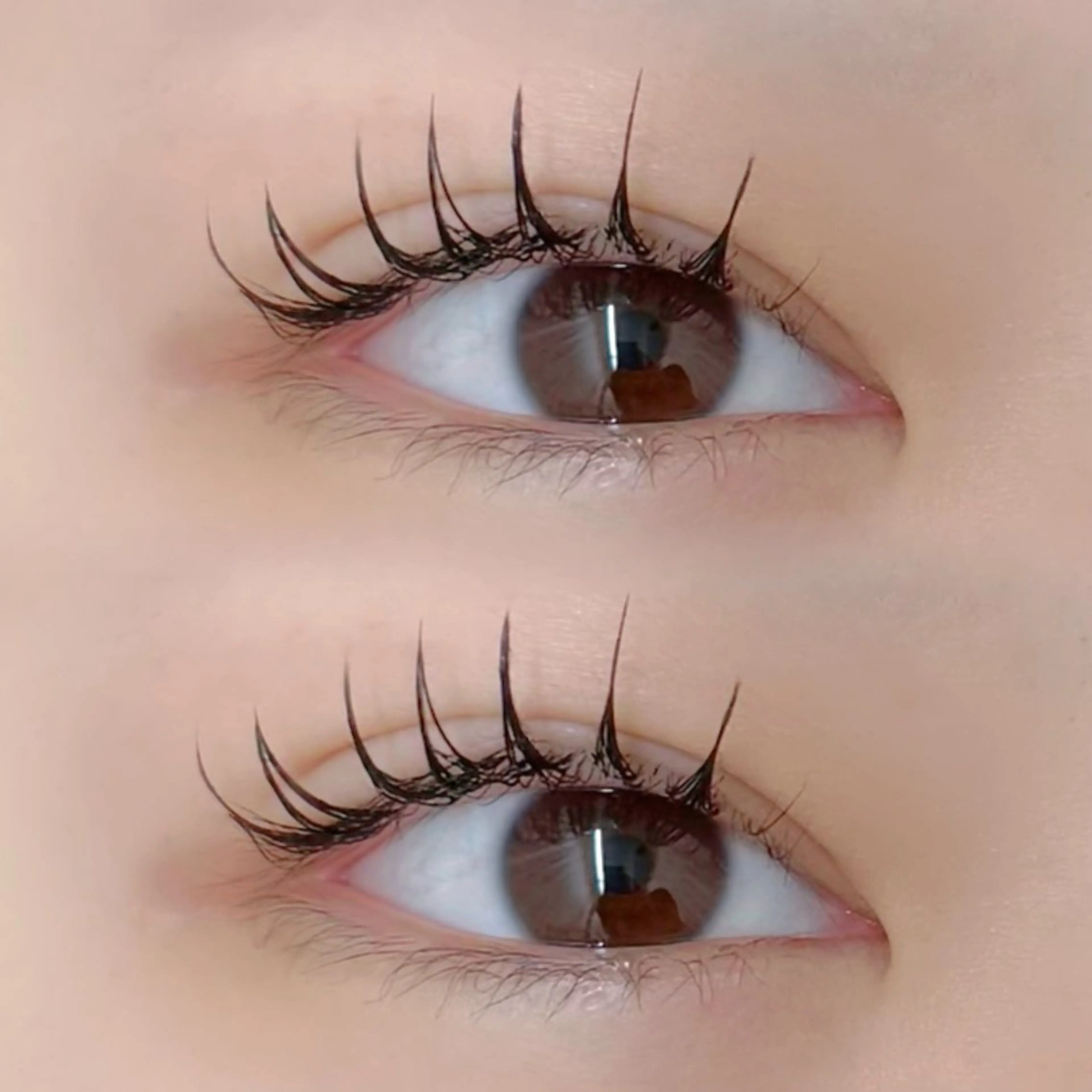 マツエク・マツパ マツエク 南浦和 yuno🐱のマツエク・マツパデザイン