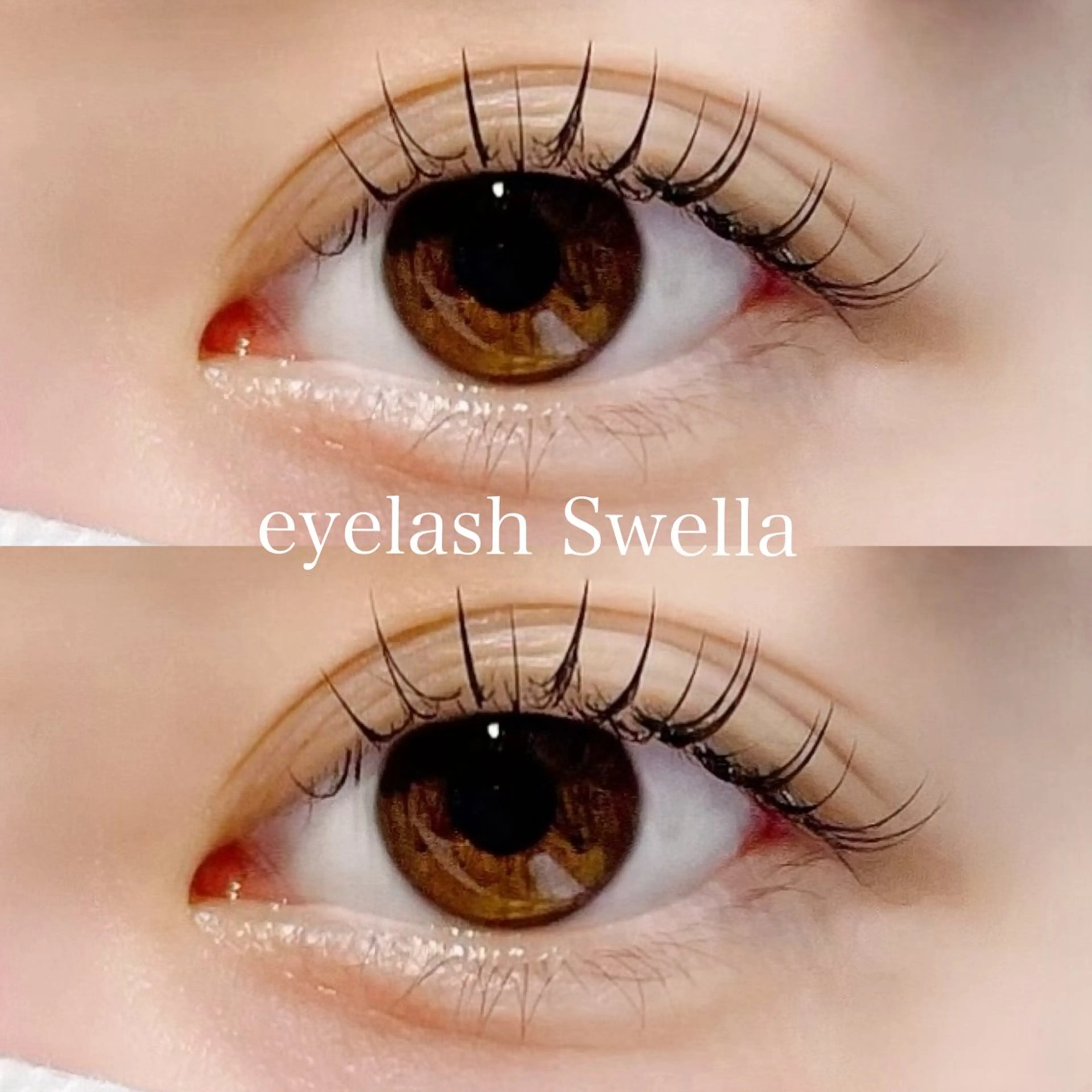 マツエク・マツパ フラットラッシュ マツエク MOMOE 恵比寿 まつげパーマのマツエク・マツパデザイン