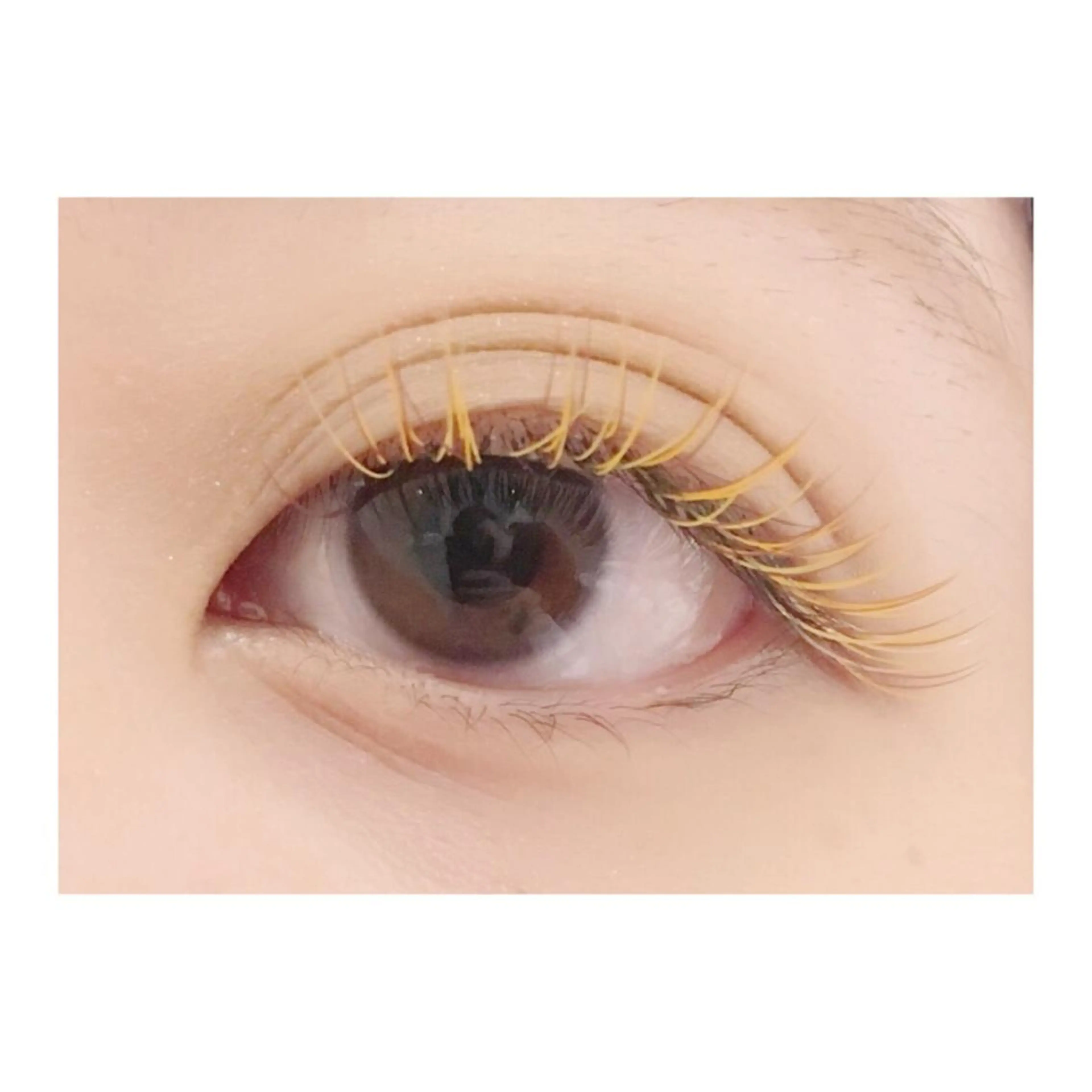 マツエク・マツパ salon luxiaのマツエク・マツパデザイン