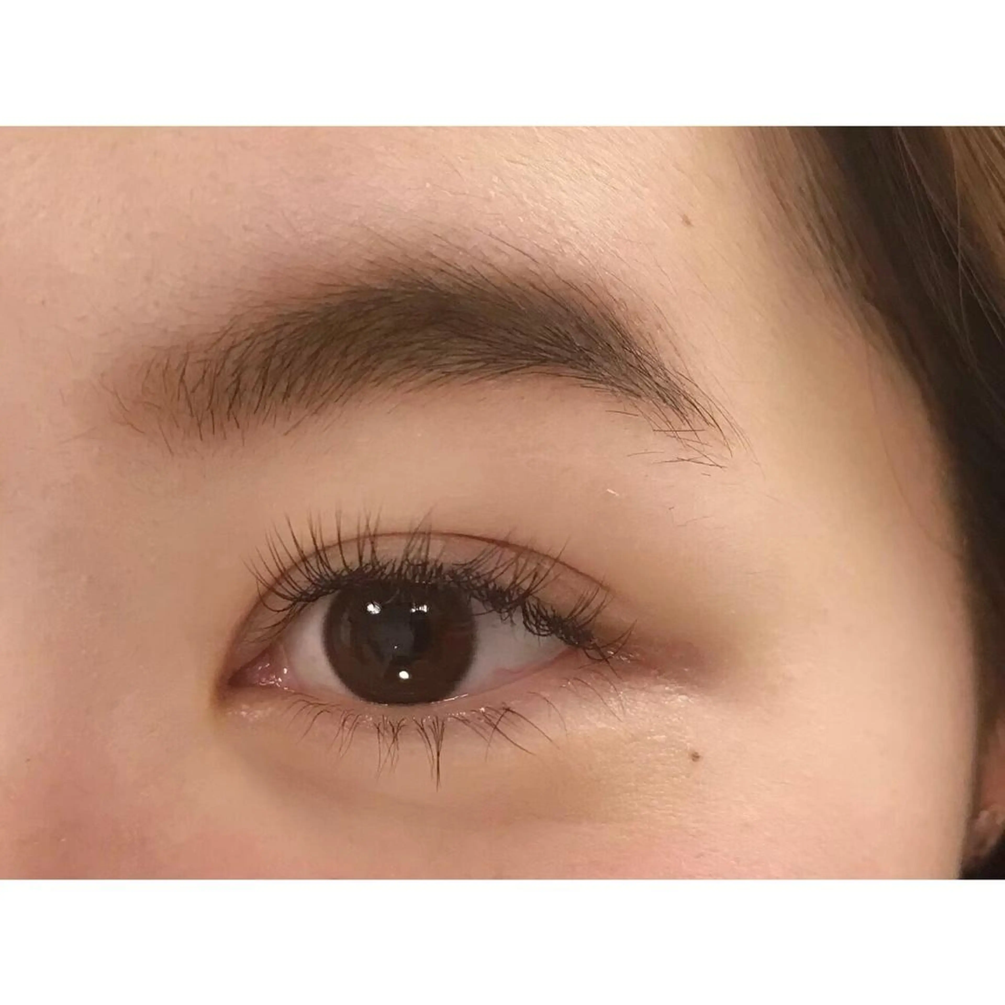 マツエク・マツパ matsuhashi manakaの眉毛・アイブロウイメージ