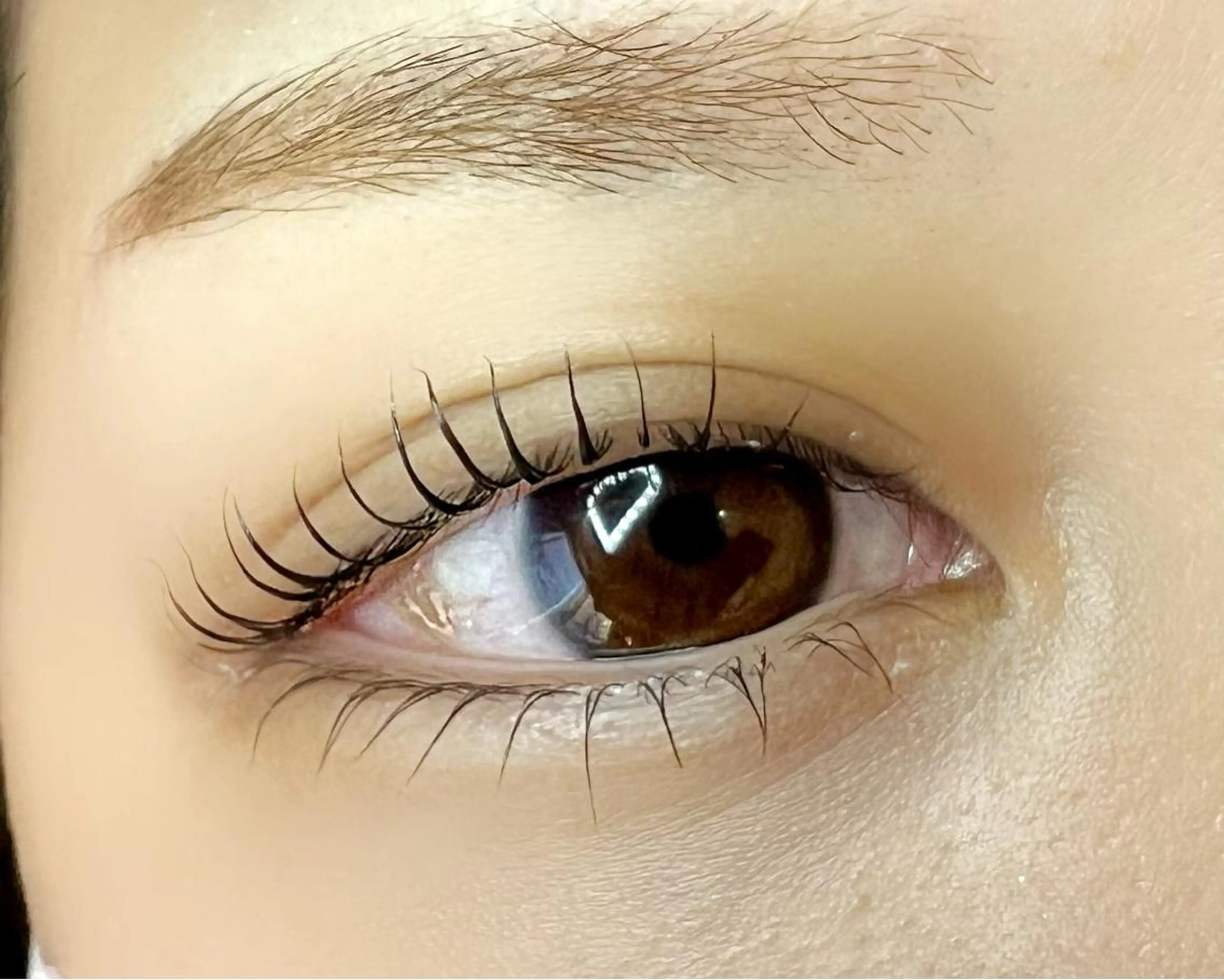 マツエク・マツパ パリジェンヌラッシュリフト 🧸Celeste Venusのマツエク・マツパデザイン